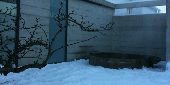 Concealed sunken cedar hot-tub.