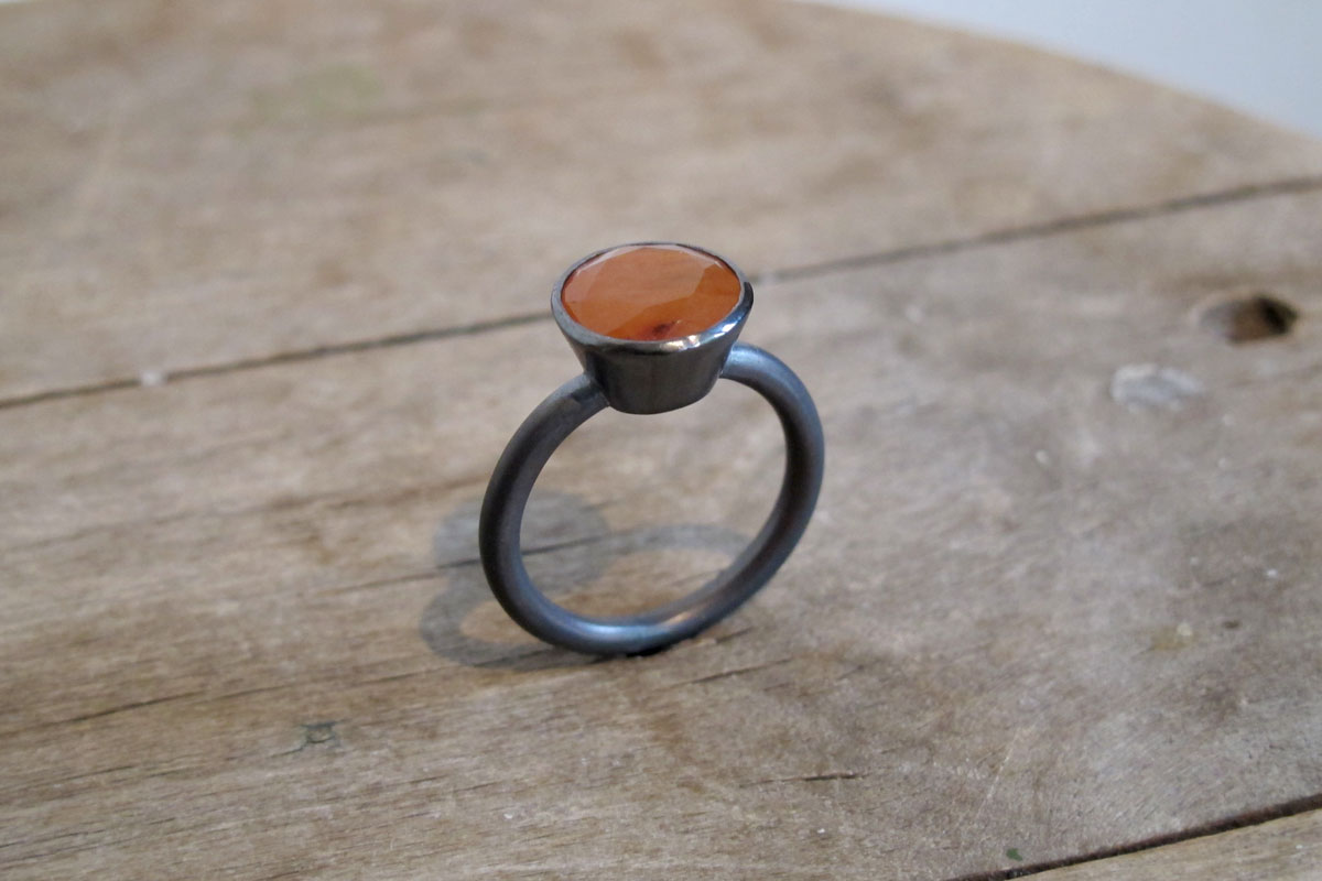Cozy cone dendrita