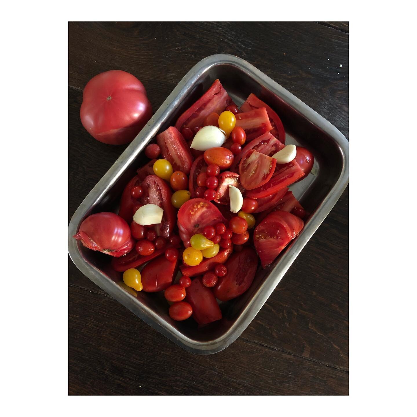 Hoy en &ldquo;Muchos tomates a punto de morir&rdquo;.
Salsa de tomates al horno 🍅