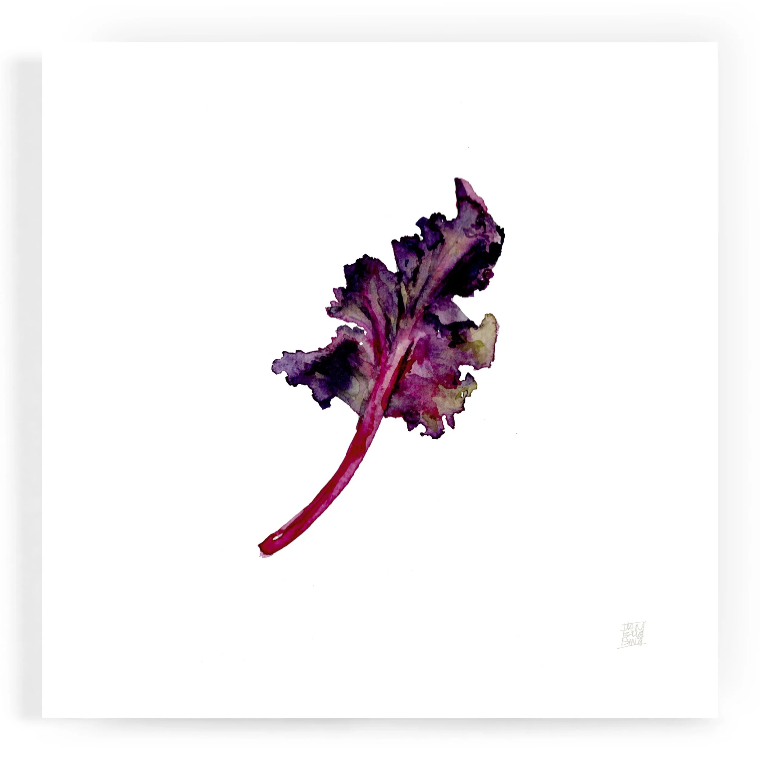 JS_purplekale_8x8print.jpg