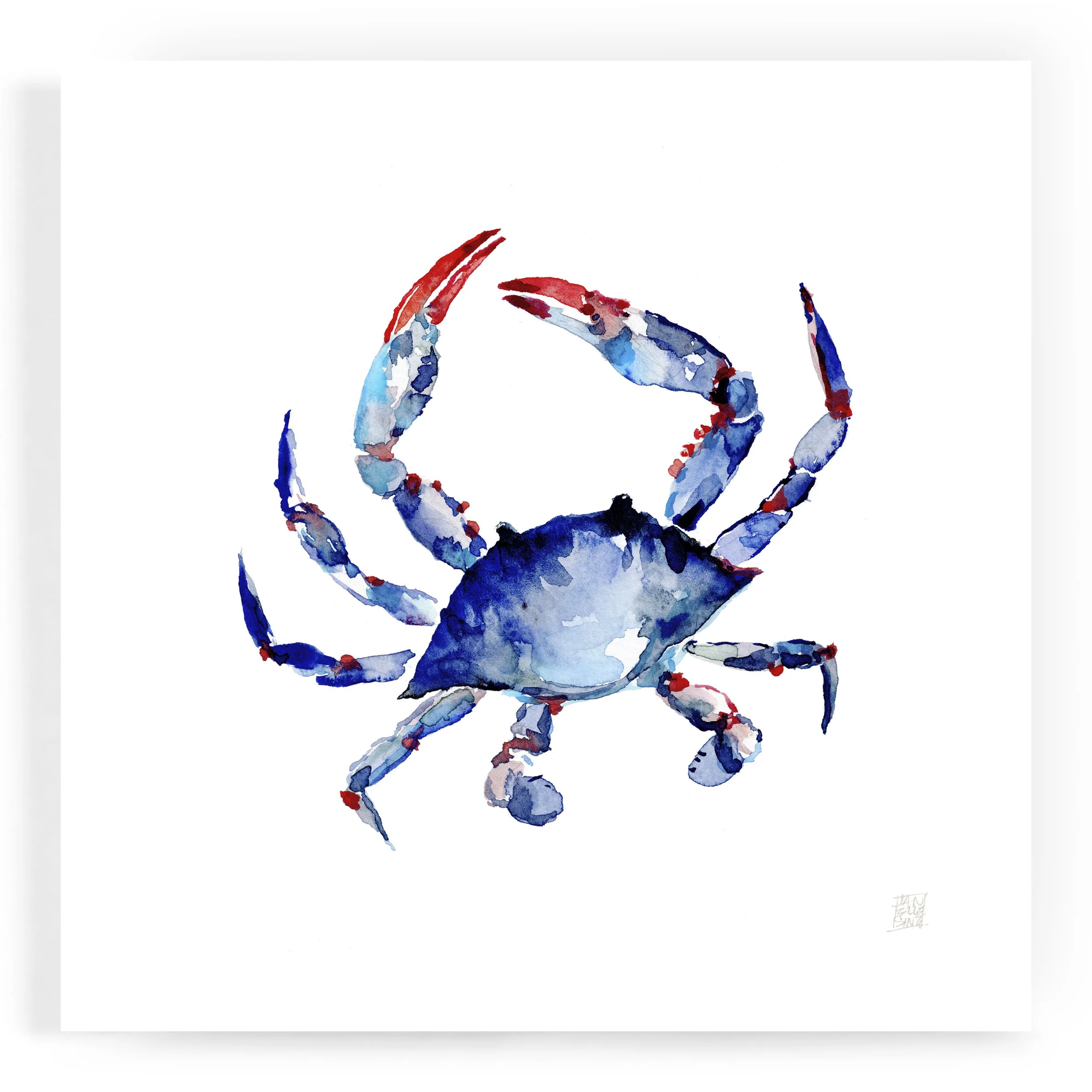 JS_crab_8x8_print.jpg
