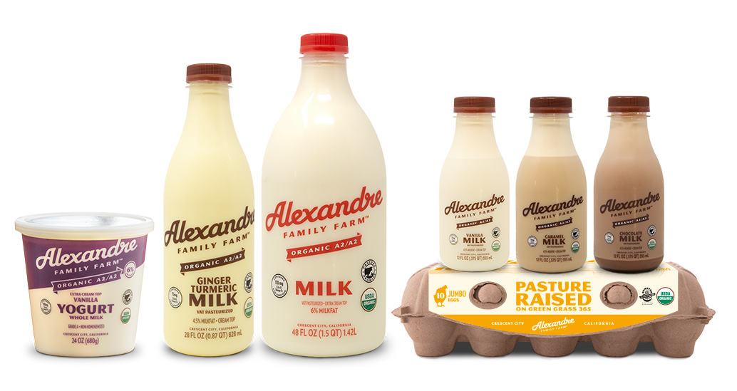 FamilyOfProduct_Updated_Yogurt.png