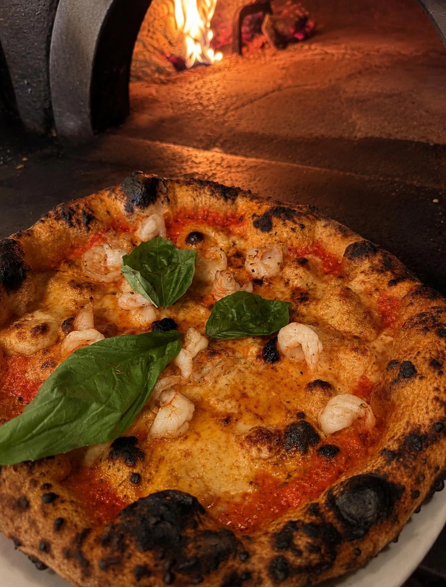 That crust tho&hellip;

Shrimp
Red pepper puree
Parm

S. Egidio
New Jersey