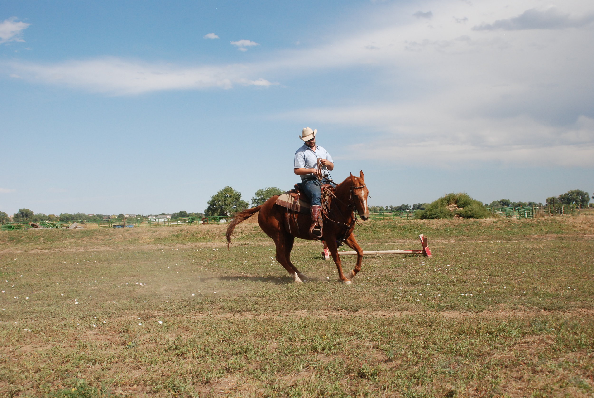 Abby: Abby is one of the most talented horses I have ever had the pleasure of riding. She was slated to be one of the top contenders at the snaffle bit futurity in Reno. Unfortunately fate struck in her 2 year old year and she developed juvenile arthritis. After her recovery, she was sent to a big time trainer in Texas to finish her schooling. She then studied at a cutting ranch in Northern California with one of my oldest friends. Eventually, I was entrusted with the care of this fine little mare, Abigail. Abby has been a true teacher to me in the realm of equine high performance, and continues to surprise me with her abilities. She is my canary in the coalmine, showing me just how far it is possible to progress with an equine partner.