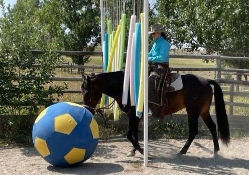 Horse Pushing Ball Thru Noodles.jpg