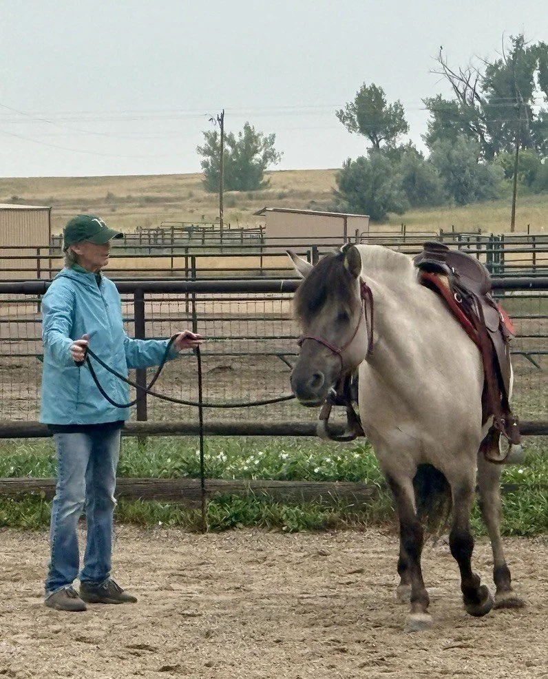 Jody Groundwork with Fijord.jpg