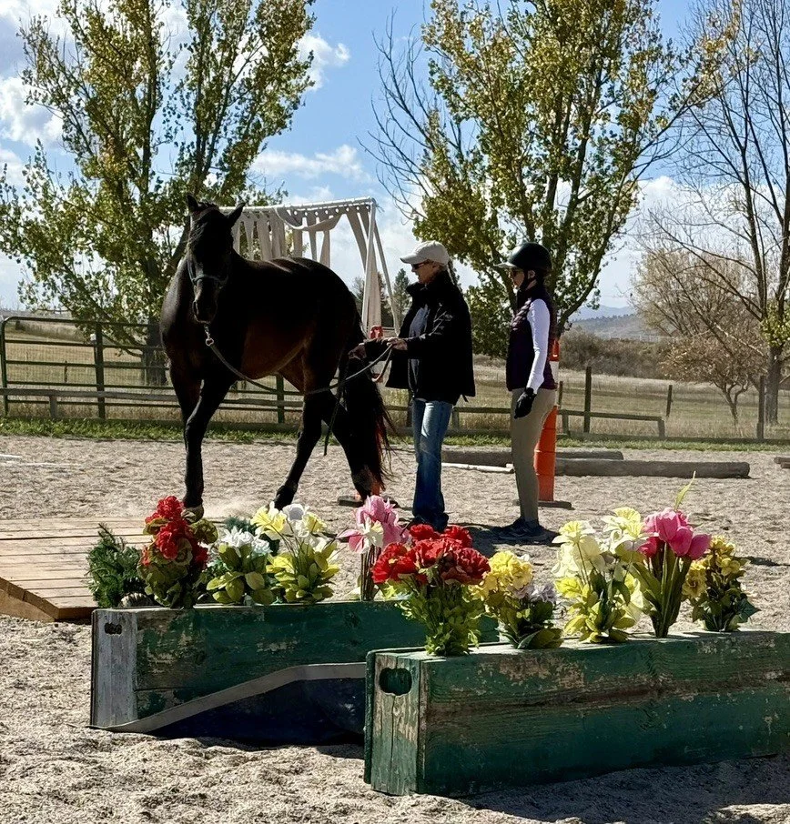 Jody Groundwork Flower Boxes.jpg