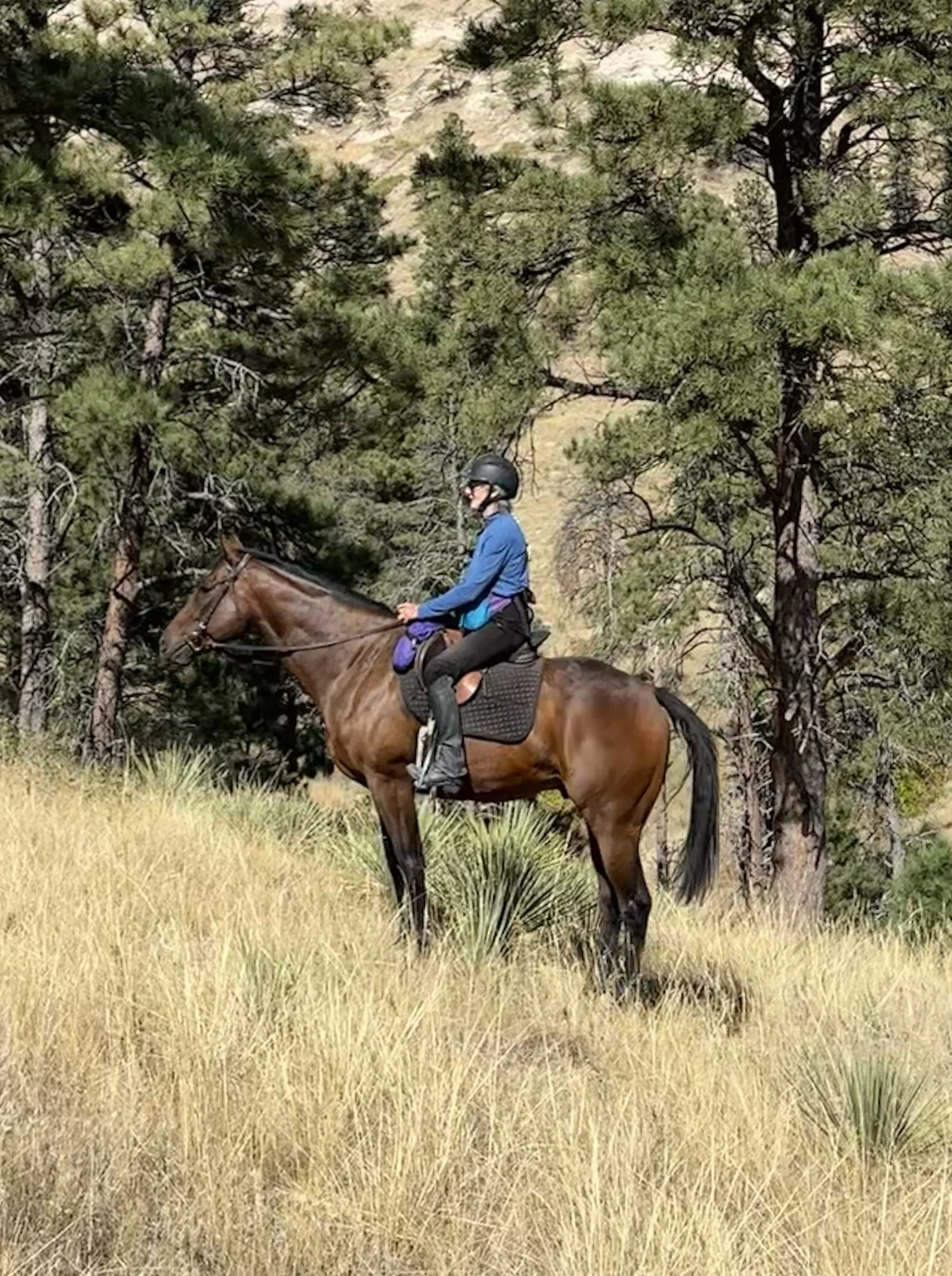 Jody on Hill in Field.jpg