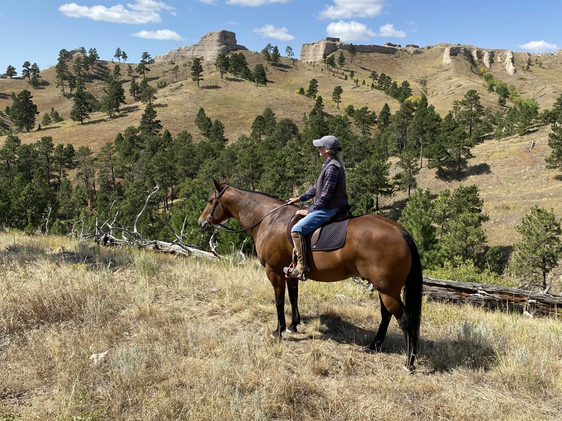 Jody on Horseback Overlooking Rolling Hills.jpg