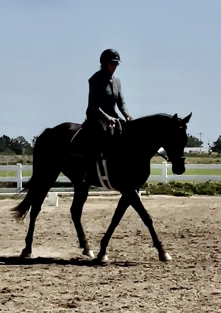 Jody Riding in Arena.jpg