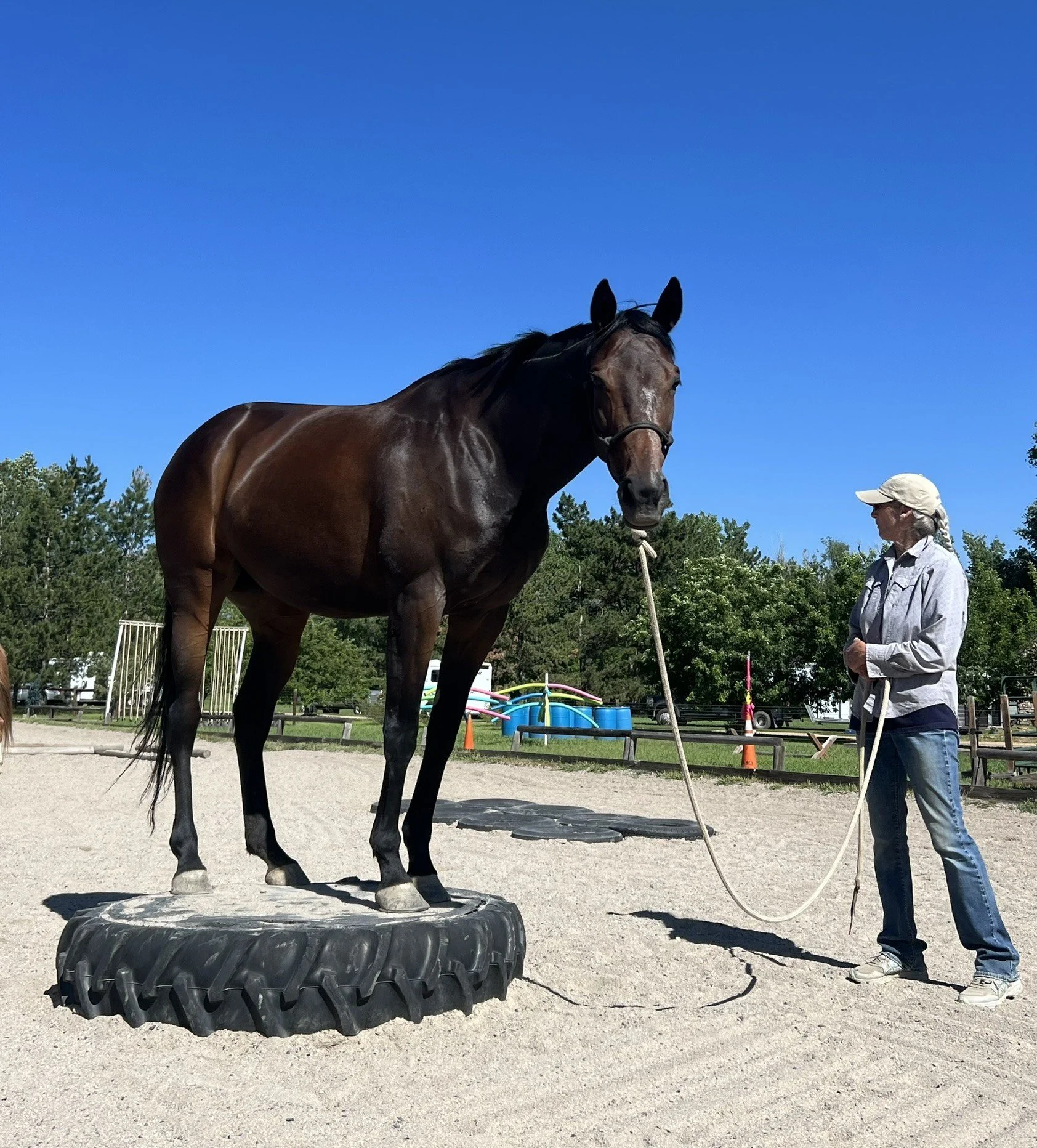 Jody with Horse on Tire.jpg