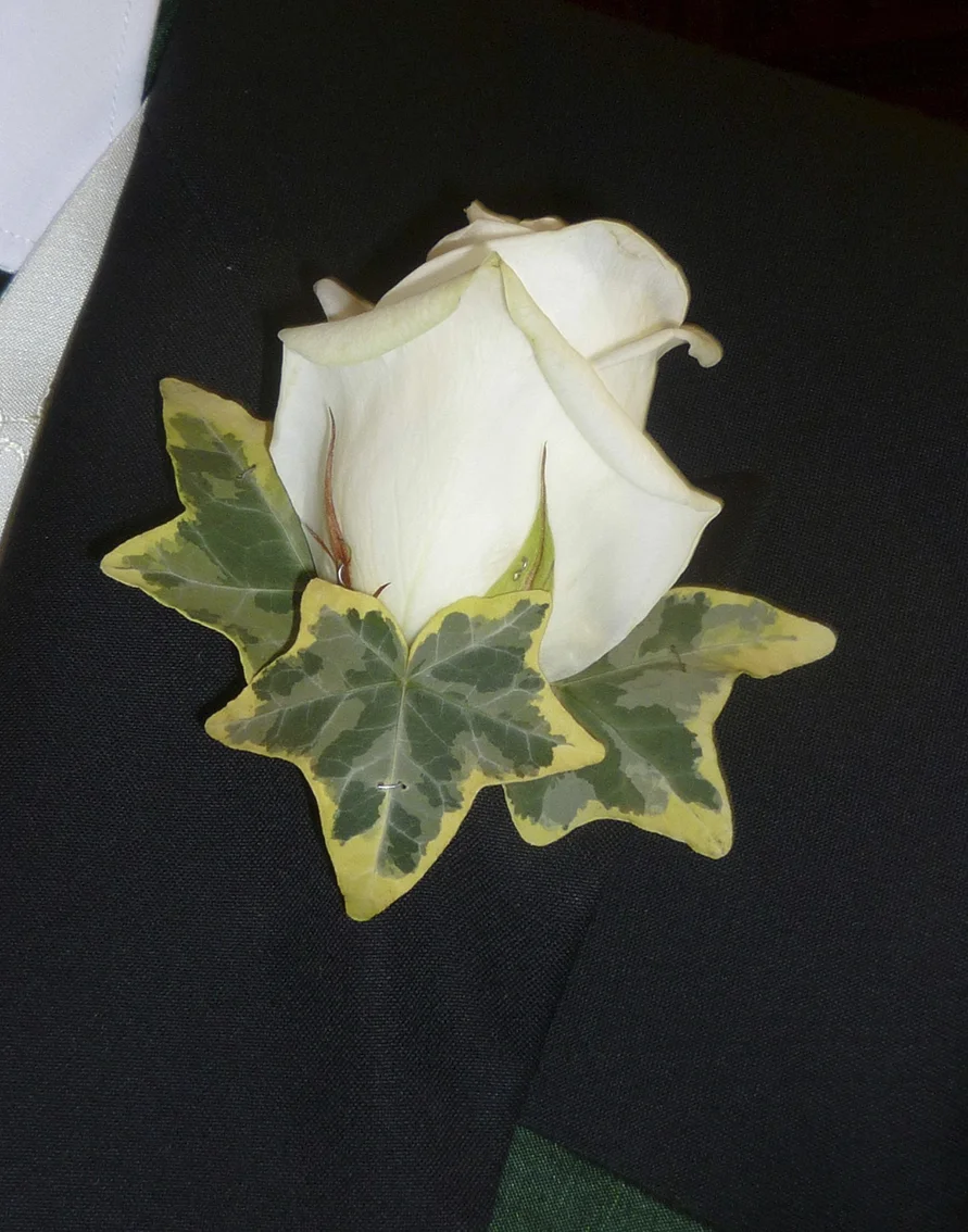 CNV00041.jpg