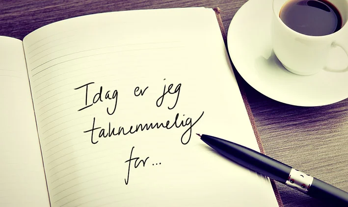 ©-anne-goncalves-taknemmelighed.jpg