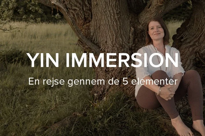 Yin Immersion // Svendborg