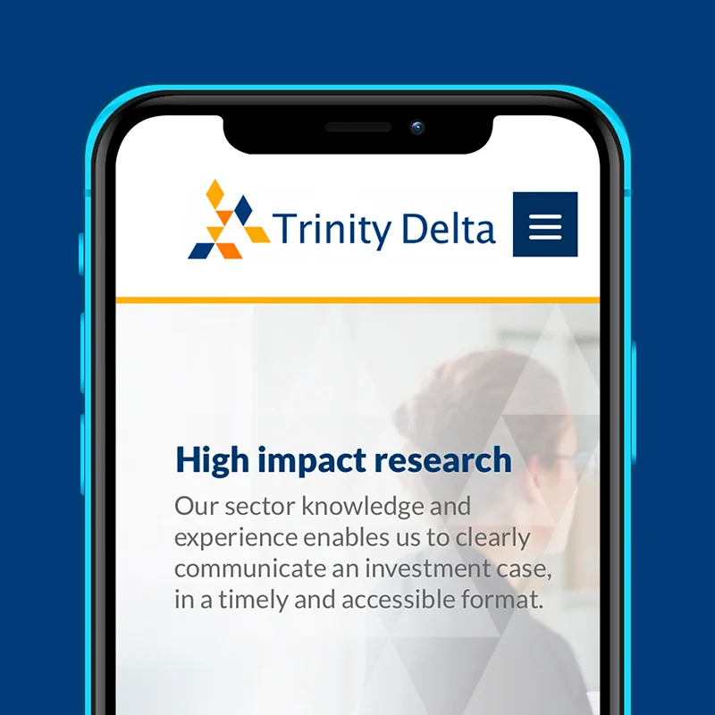 Trinity Delta web design box 1.jpg