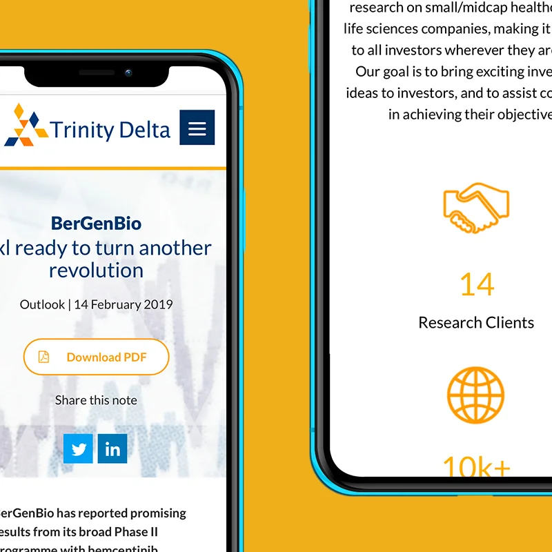 Trinity Delta web design box 5.jpg
