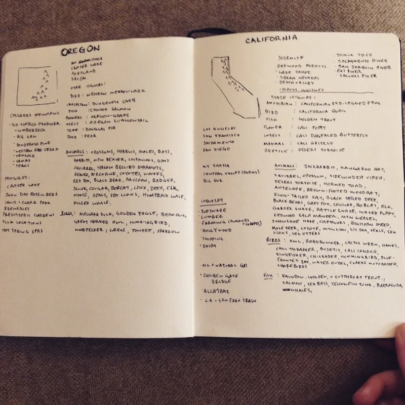 Initial planning - some R&D about the states including major cities, industry, flora and fauna, mountain ranges, attractions, and so on.