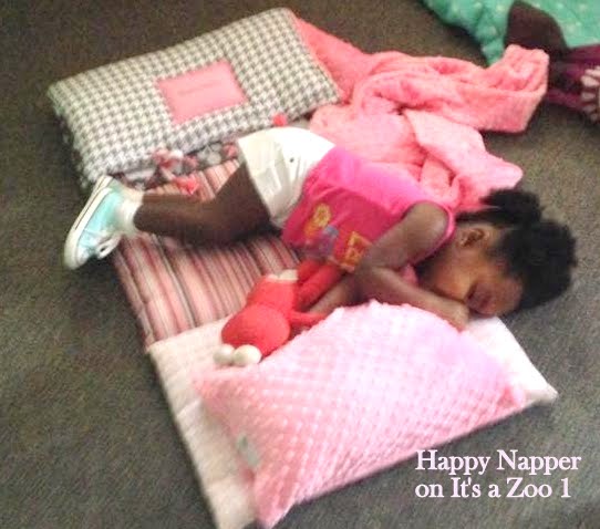 happy napper sleeping on zoo..jpg