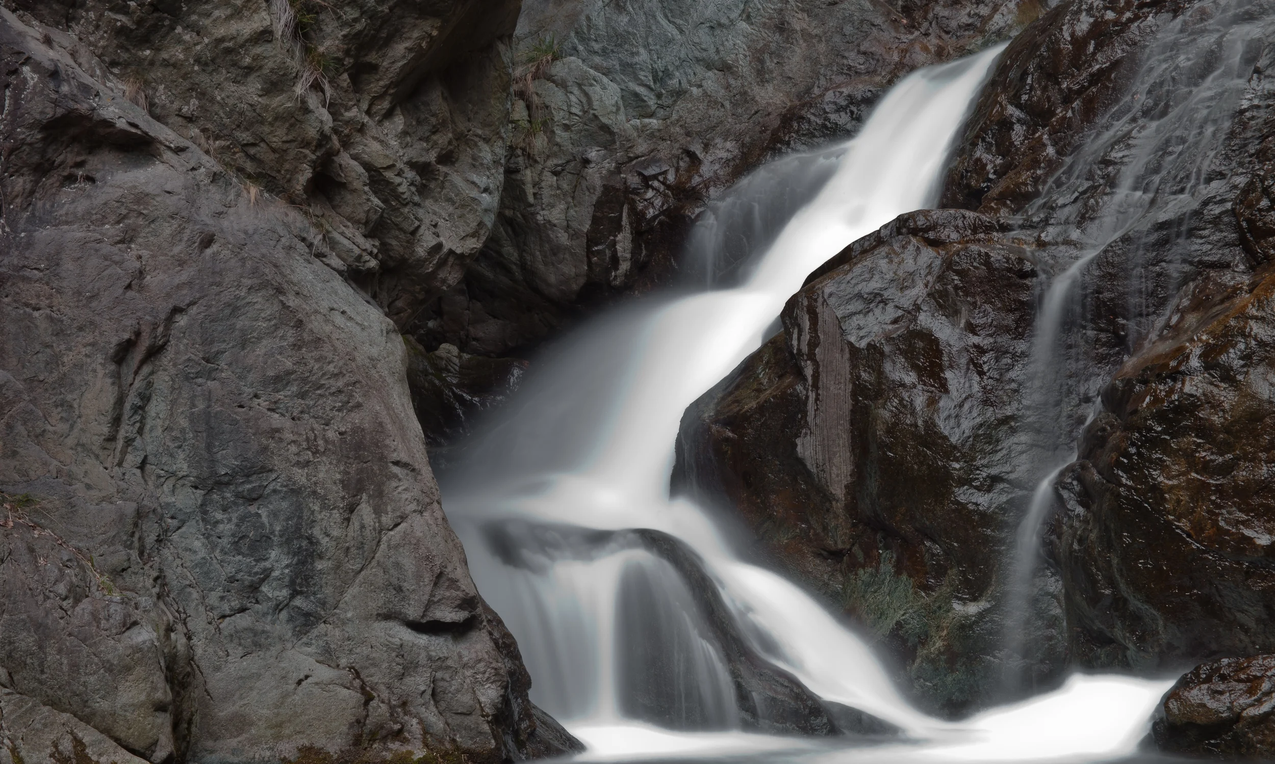 stream.jpg
