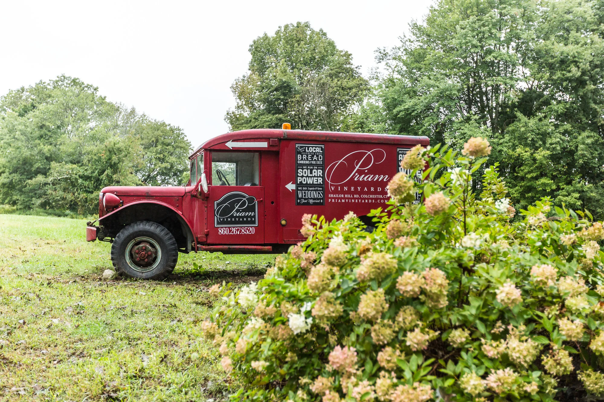 StephNick-Wedding-0006-lowres-CT-Vineyard-Wedding.jpg