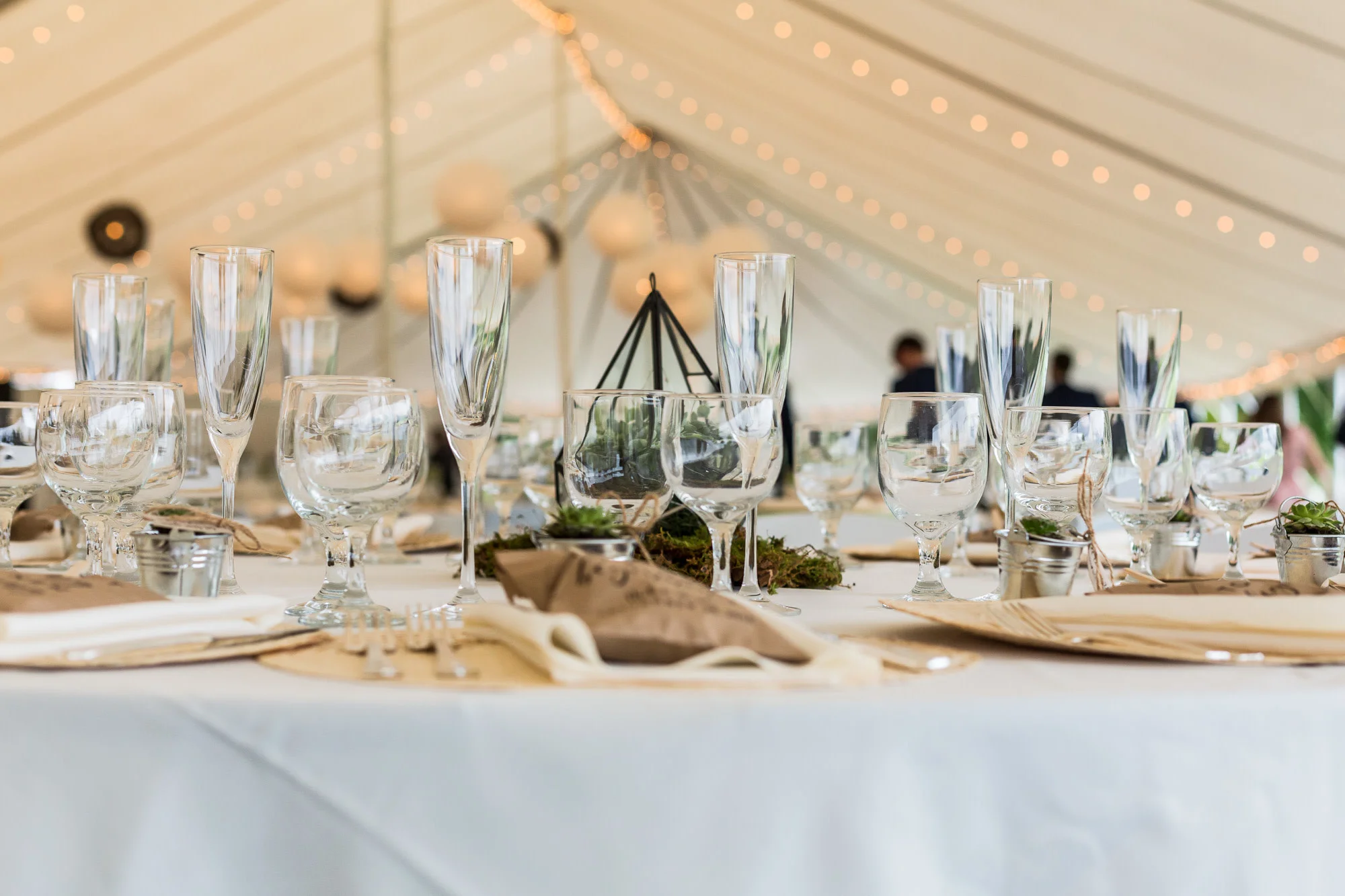 StephNick-Wedding-0302-lowres-CT-Vineyard-Wedding.jpg