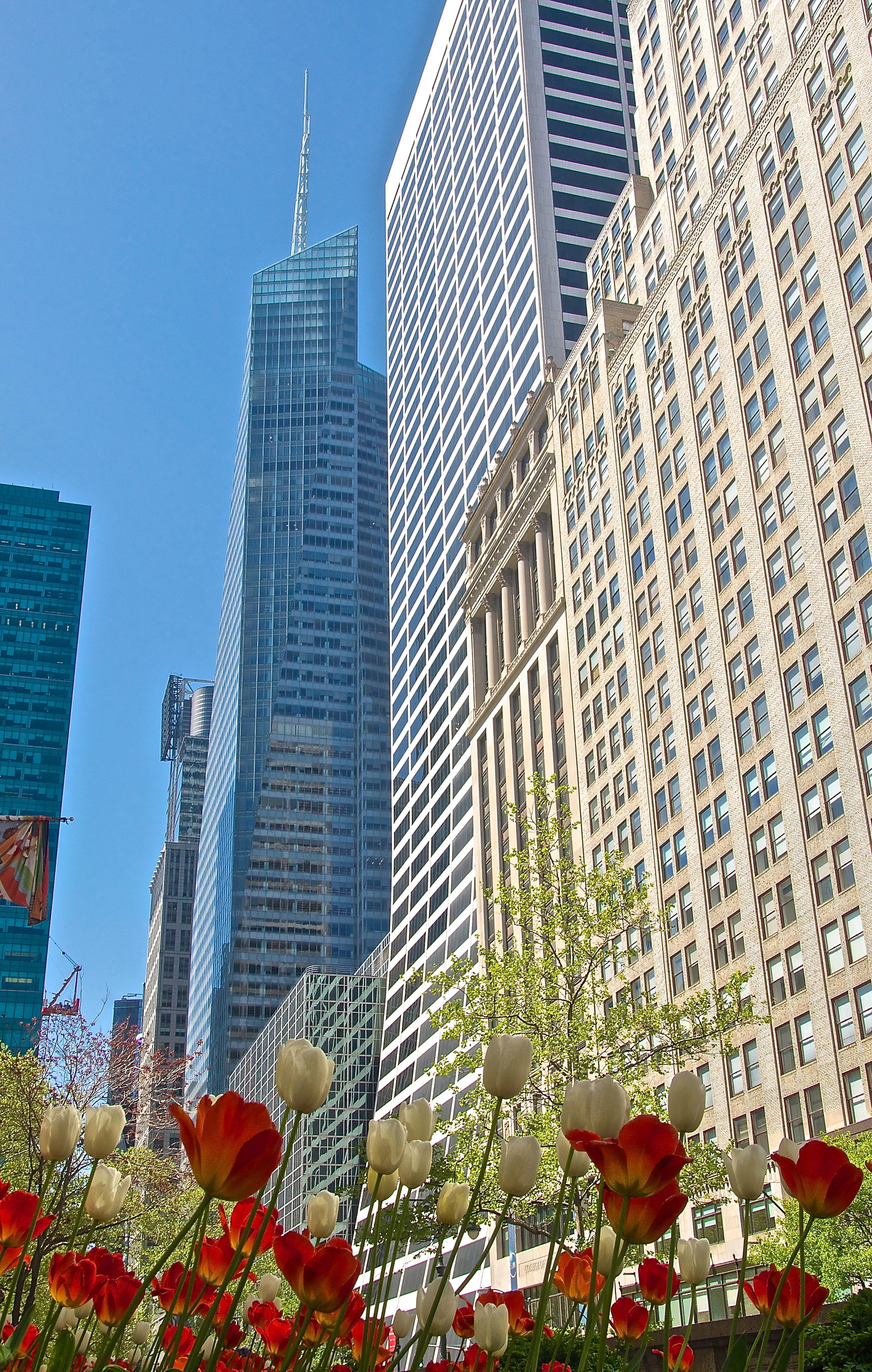 Tulips along 42nd Street in Manhattan look up at the Bank of America Tower and Grace Building. (Photo © Joseph Kellard/kellardmedia.com)