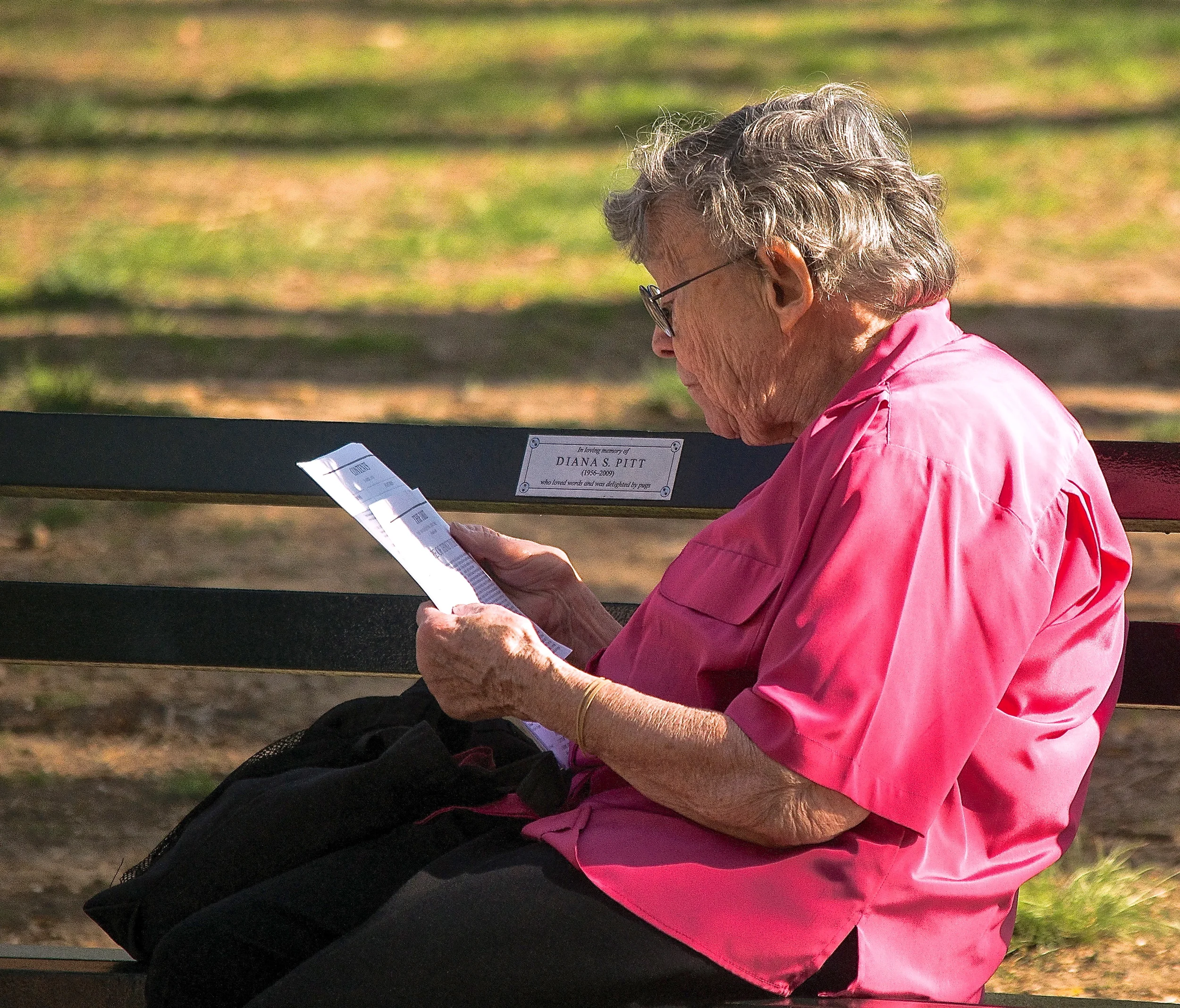   A woman reads documents while seated on a bench in Central Park, Manhattan.   