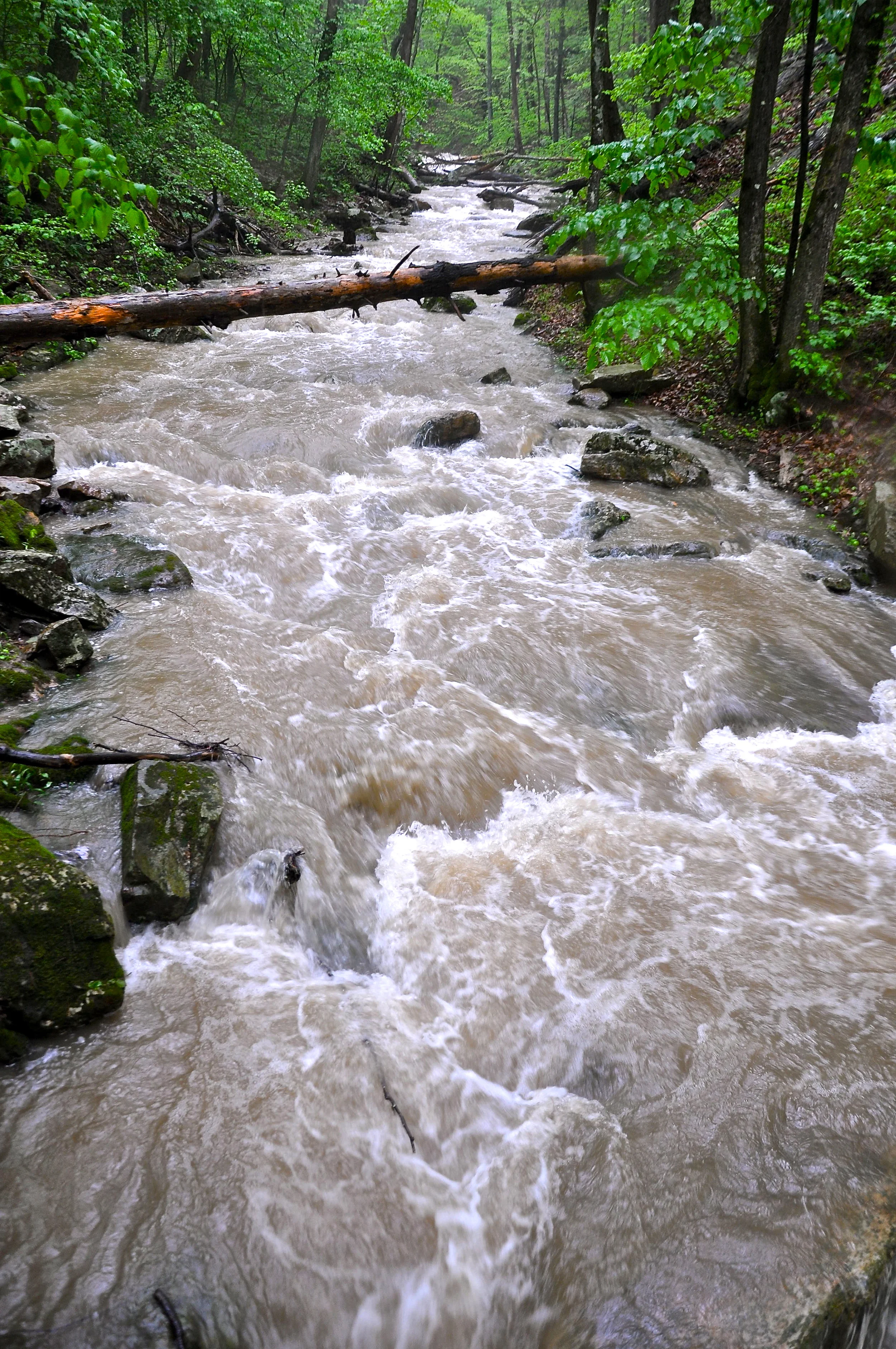 Roaring Run, Virginia