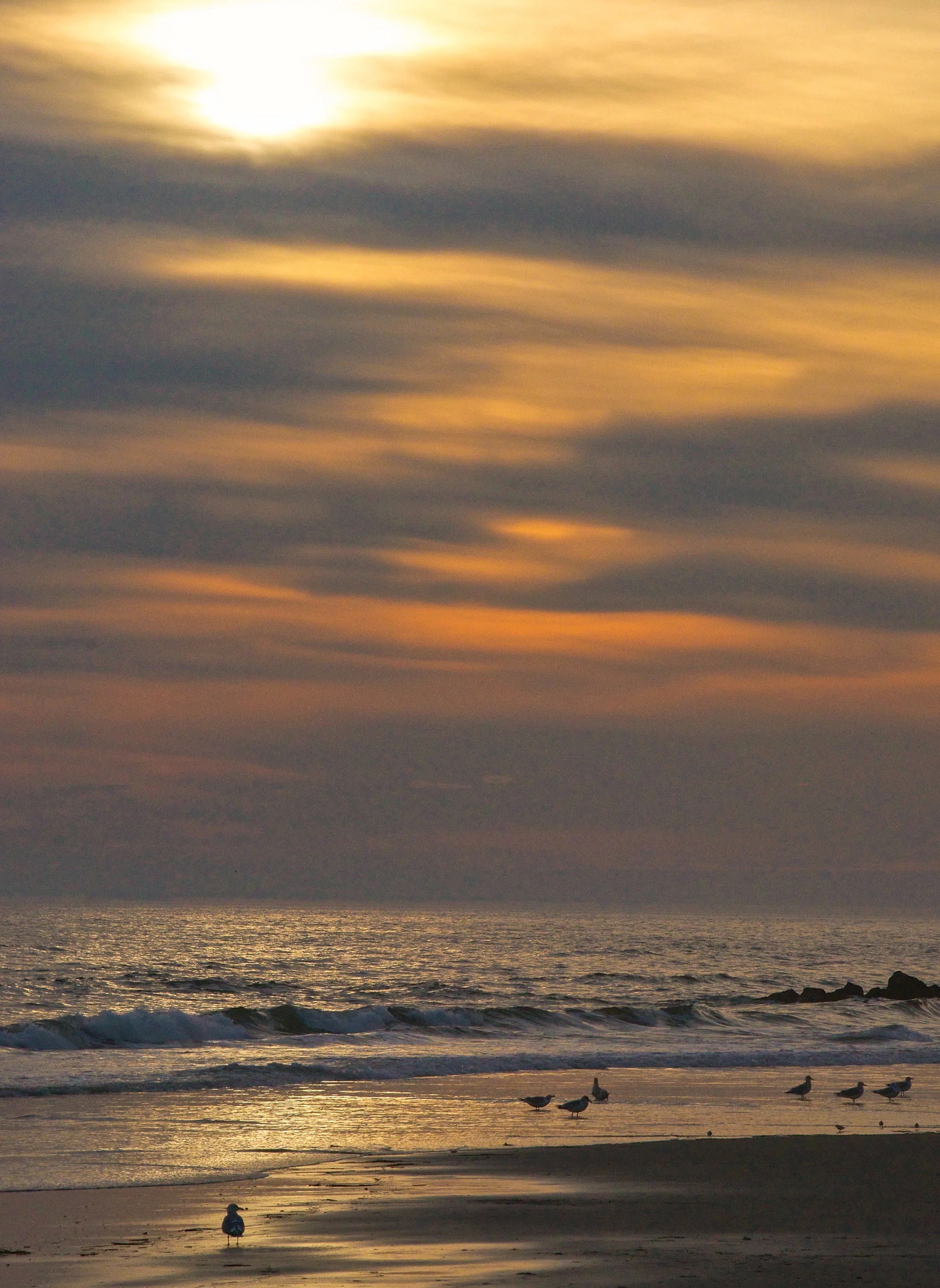 Winter Sunset