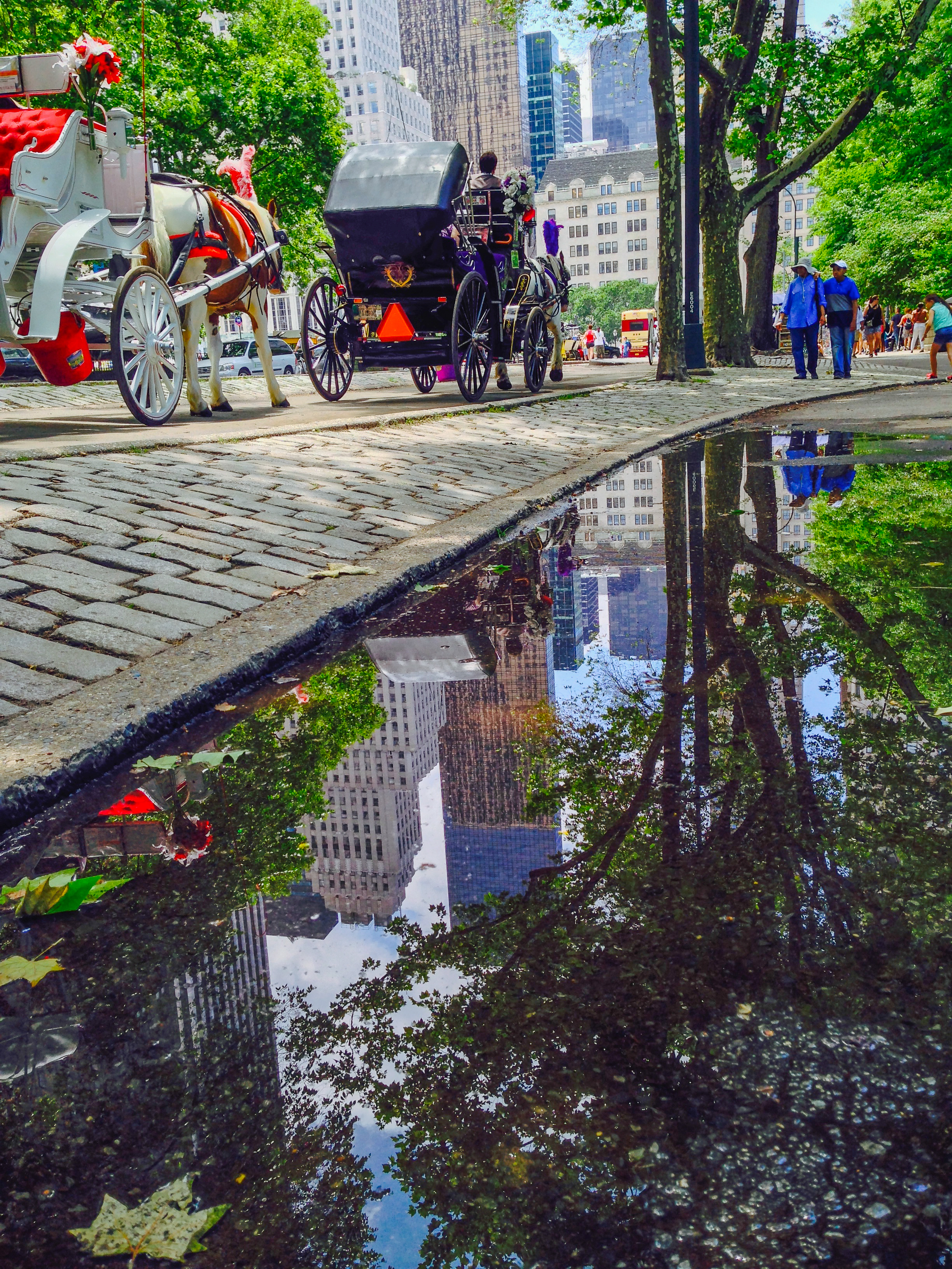 @ Reflection - Central Park LR&ip-6.jpg