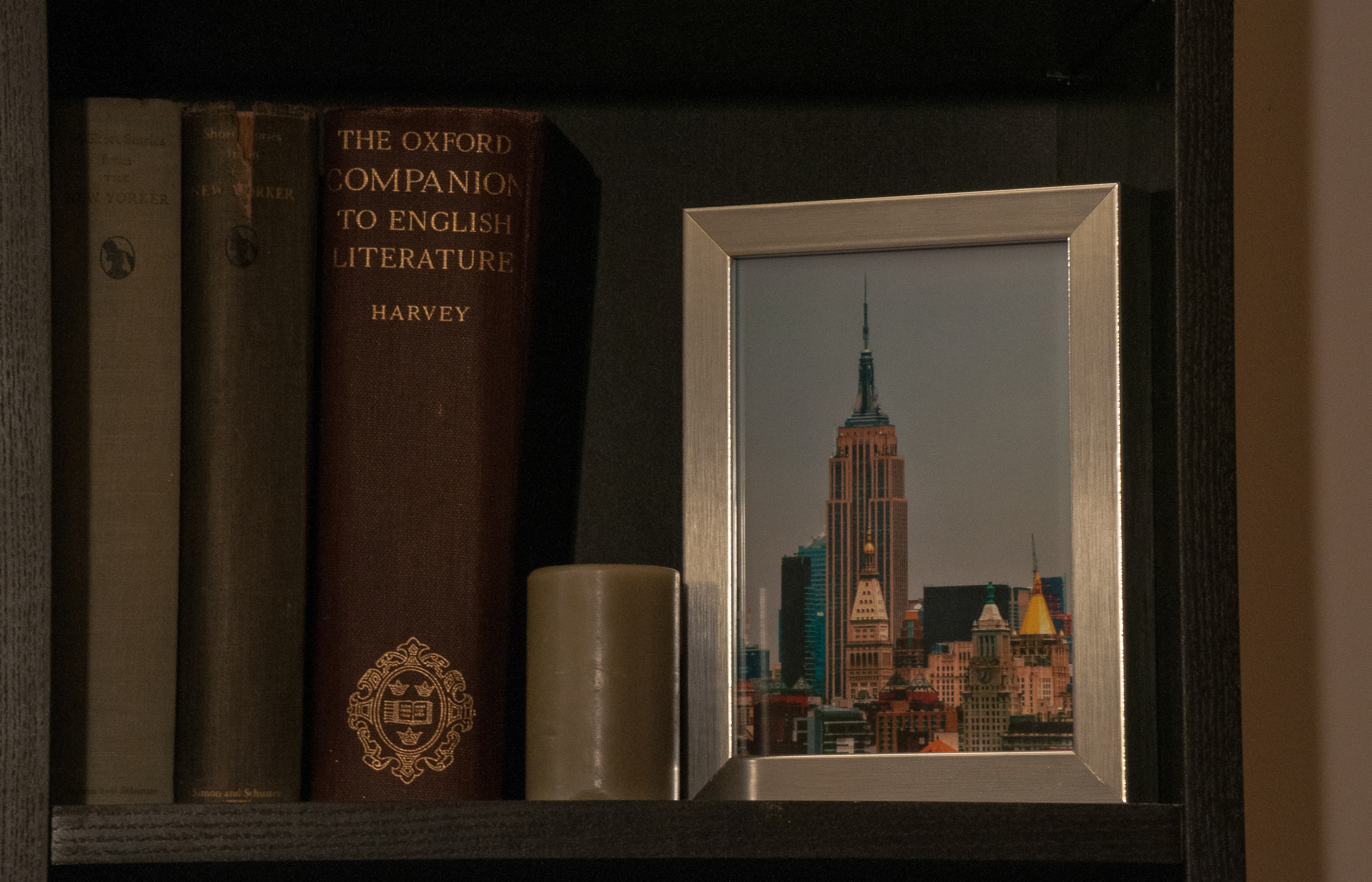 A section of a bookcase in my&nbsp;studio apartment. (Photo: Joseph Kellard)