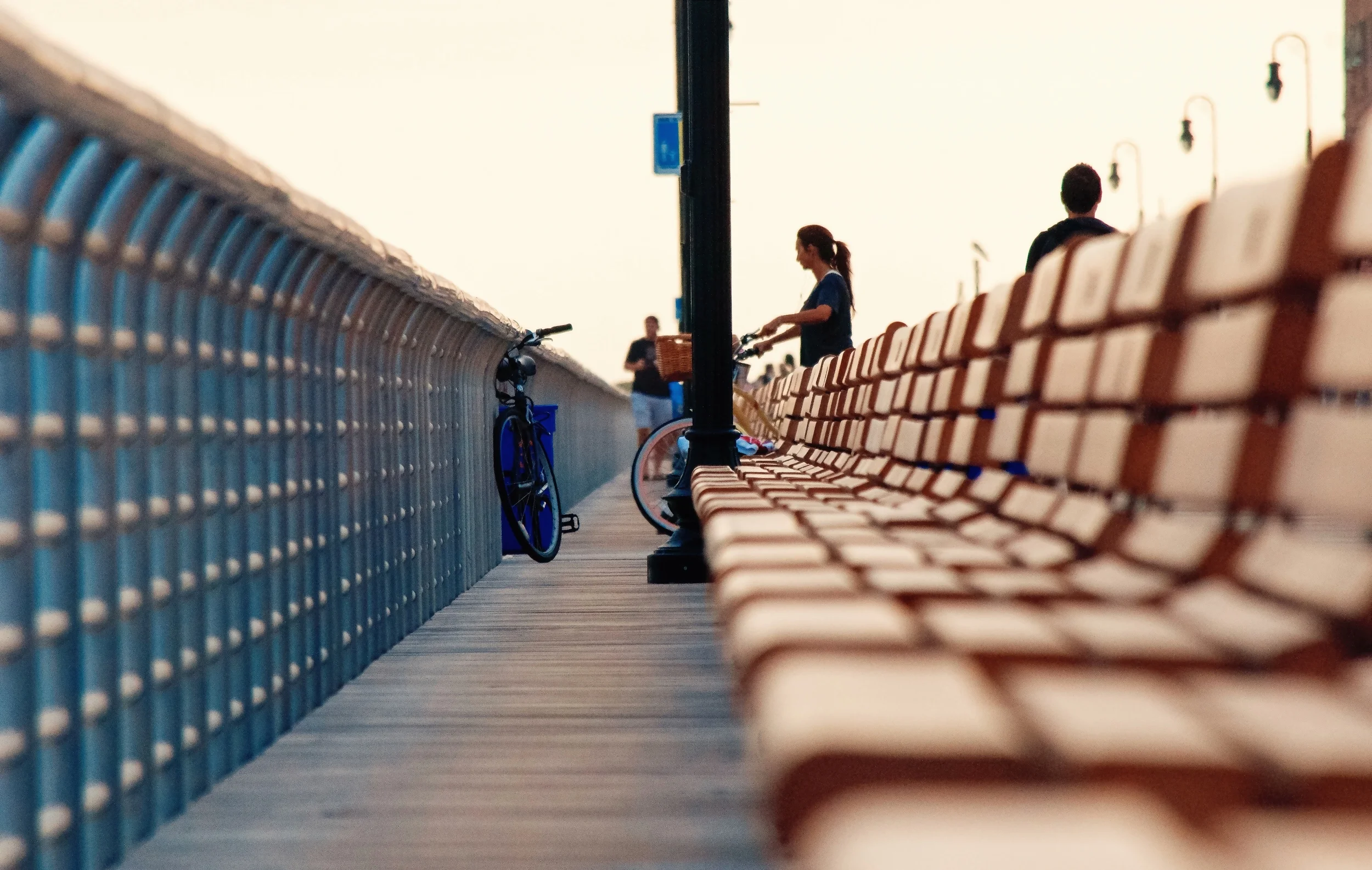 Bench Row