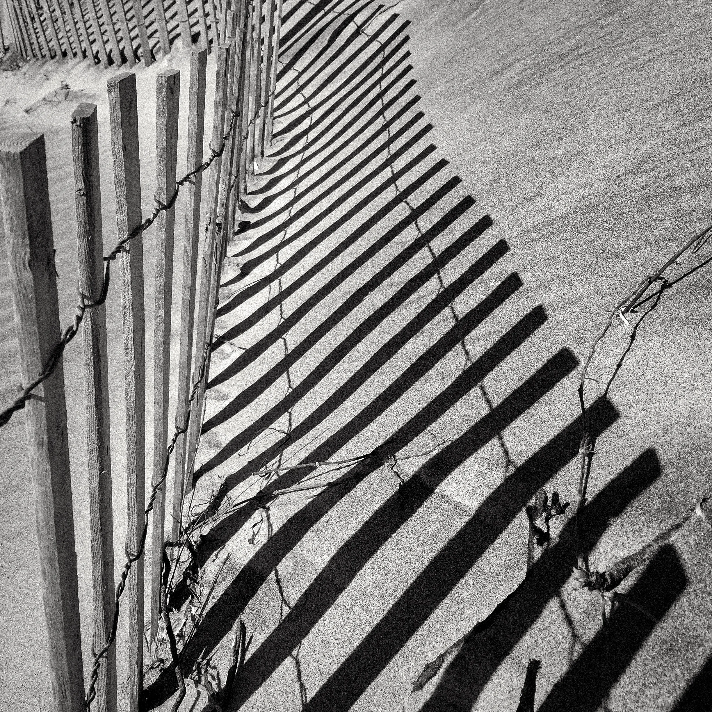 Shadow Fence