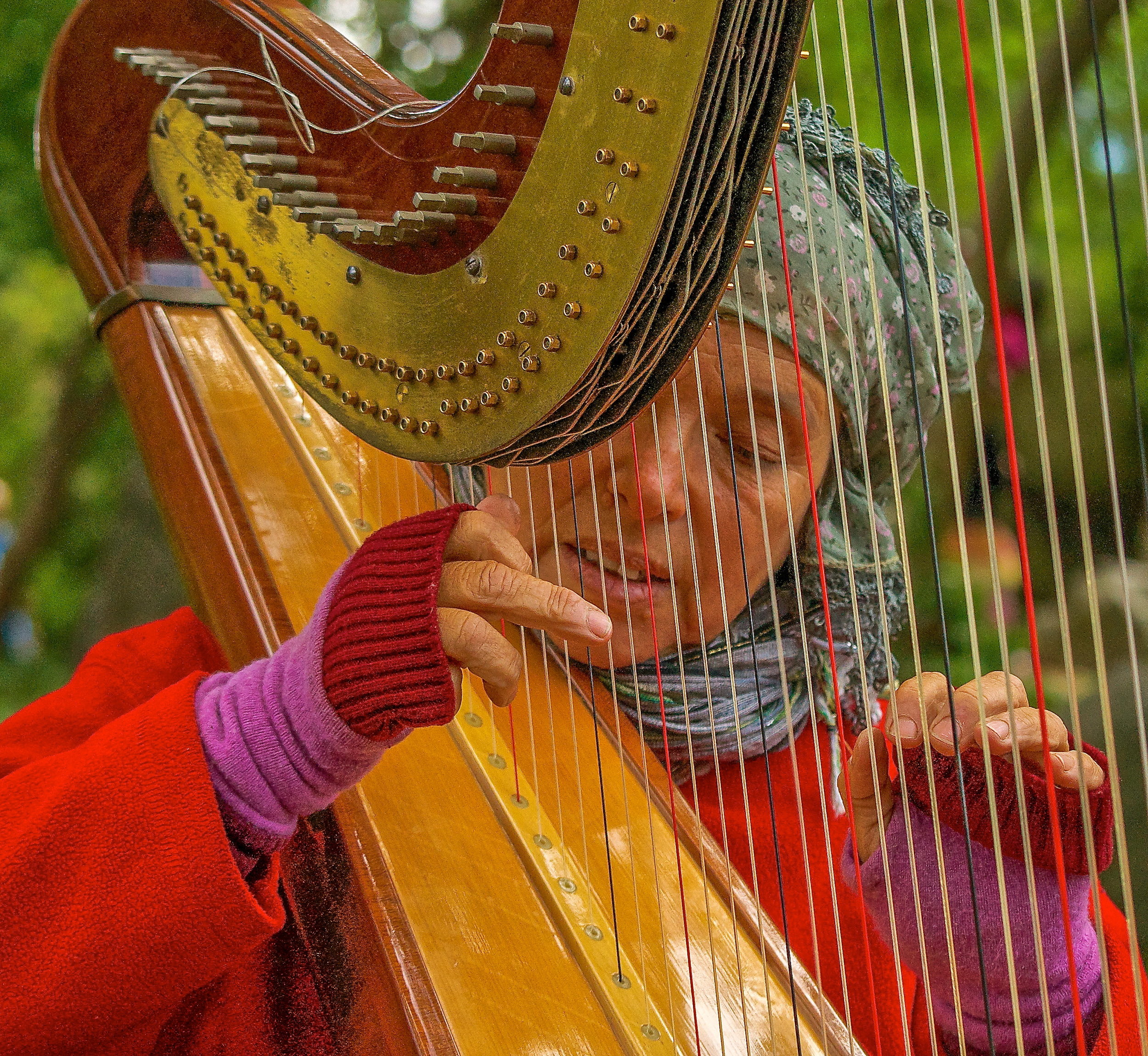 Harpist_Photo © Joseph Kellard:kellardmedia.com.jpg