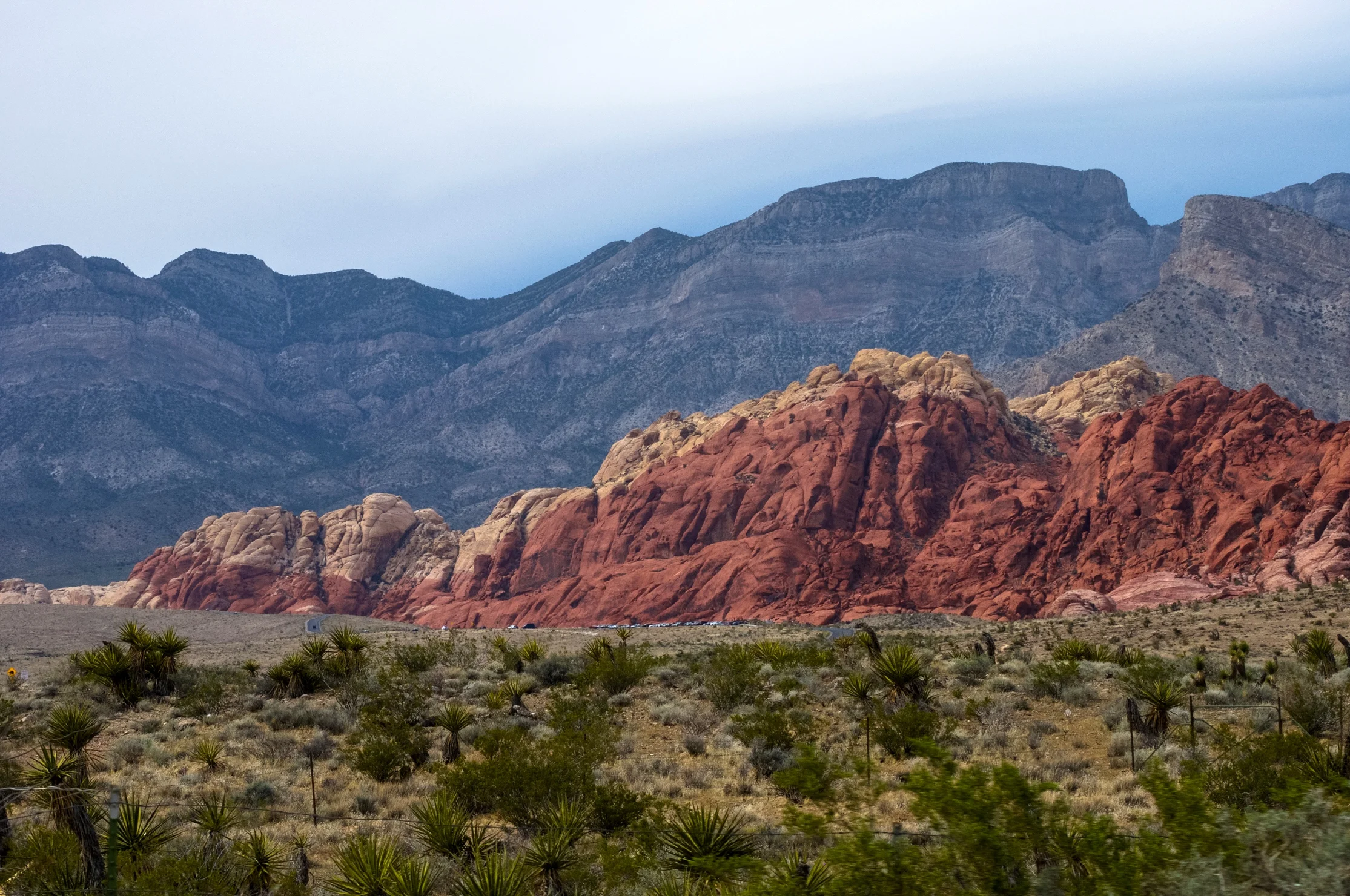 @ Red Rock Canyon_Las Vegas_Nevada 4.15.18__Photo © 2018 Joseph Kellard:kellardmedia.com_.jpg