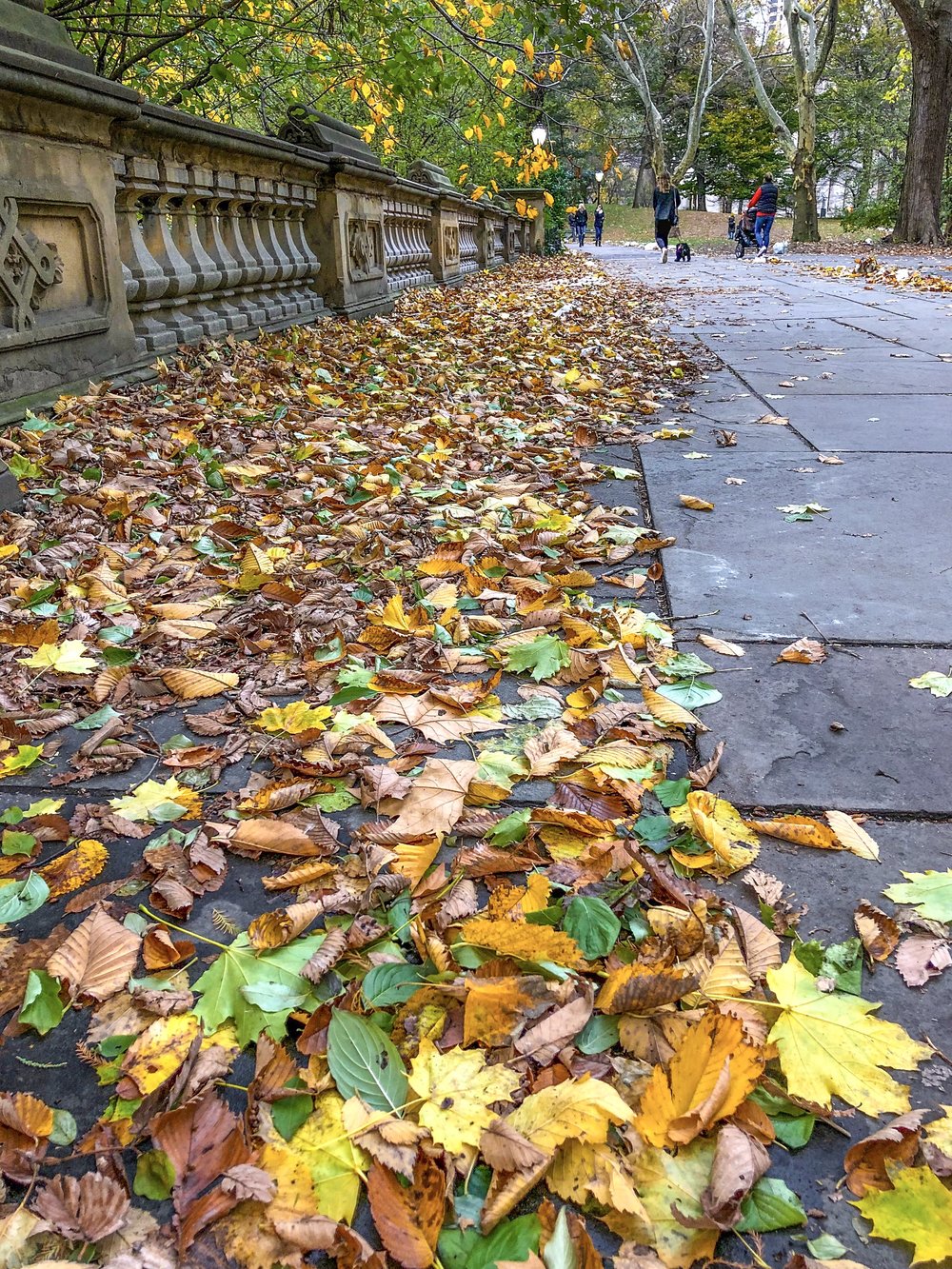 @ Glade_Arch_autumn_leaves_Central_Park_11.17.18_Photo © 2018 Joseph Kellard:kellardmedia.com.jpg