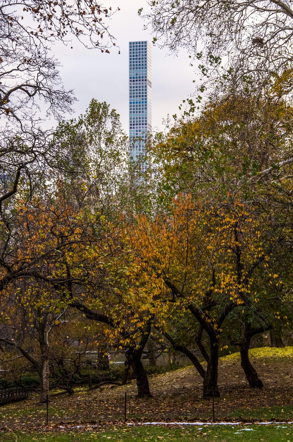 @ 432_Park_Avenue_Central Park_autumn trees_11.17.18_Photo © 2018 Joseph Kellard:kellardmedia.com.jpg