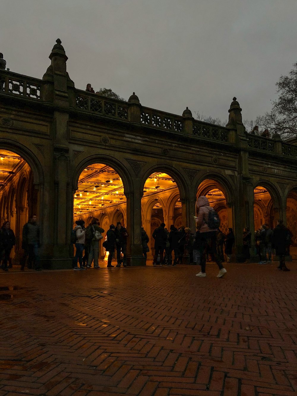 @ Bethesda Arcade-night lights_Central Park__11.17.18.jpg