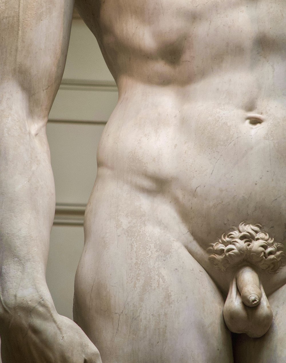 @ Oblique_abdominals_serratus_penis_David__Michelangelo_.Photo Joseph Kellard.jpg