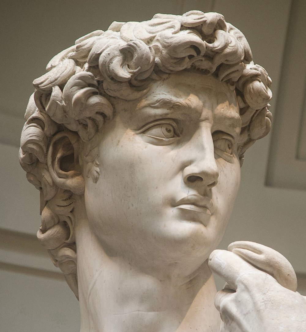 @ @ David_Michelangelo_Head  3 quarter_chest_Photo Joseph Kellard_ copy.jpg