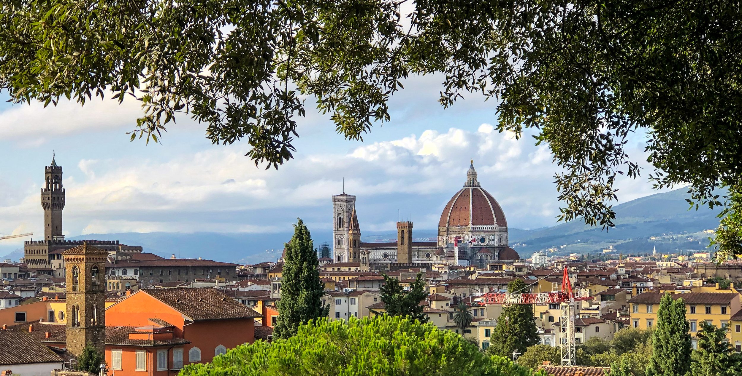 @ @ Florence skyline_Duomo_tree frame_Photo © Joseph Kellard:kellardmedia.com.jpg