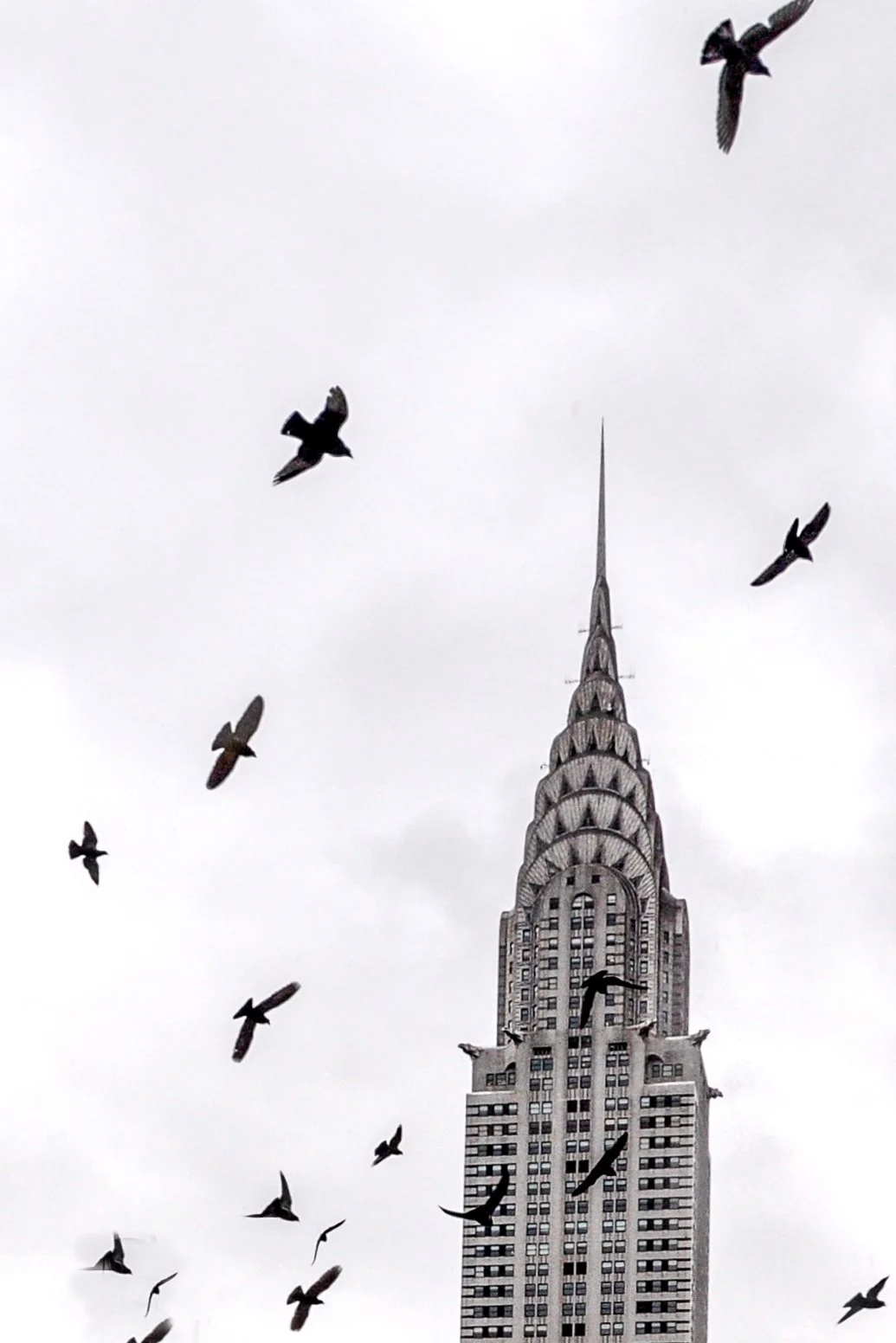 @ Chrysler Building & Birds_Photo © Joseph Kellard:kellardmedia.com.JPG