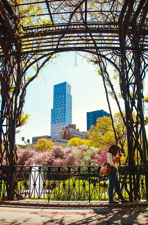 Conservatory Garden