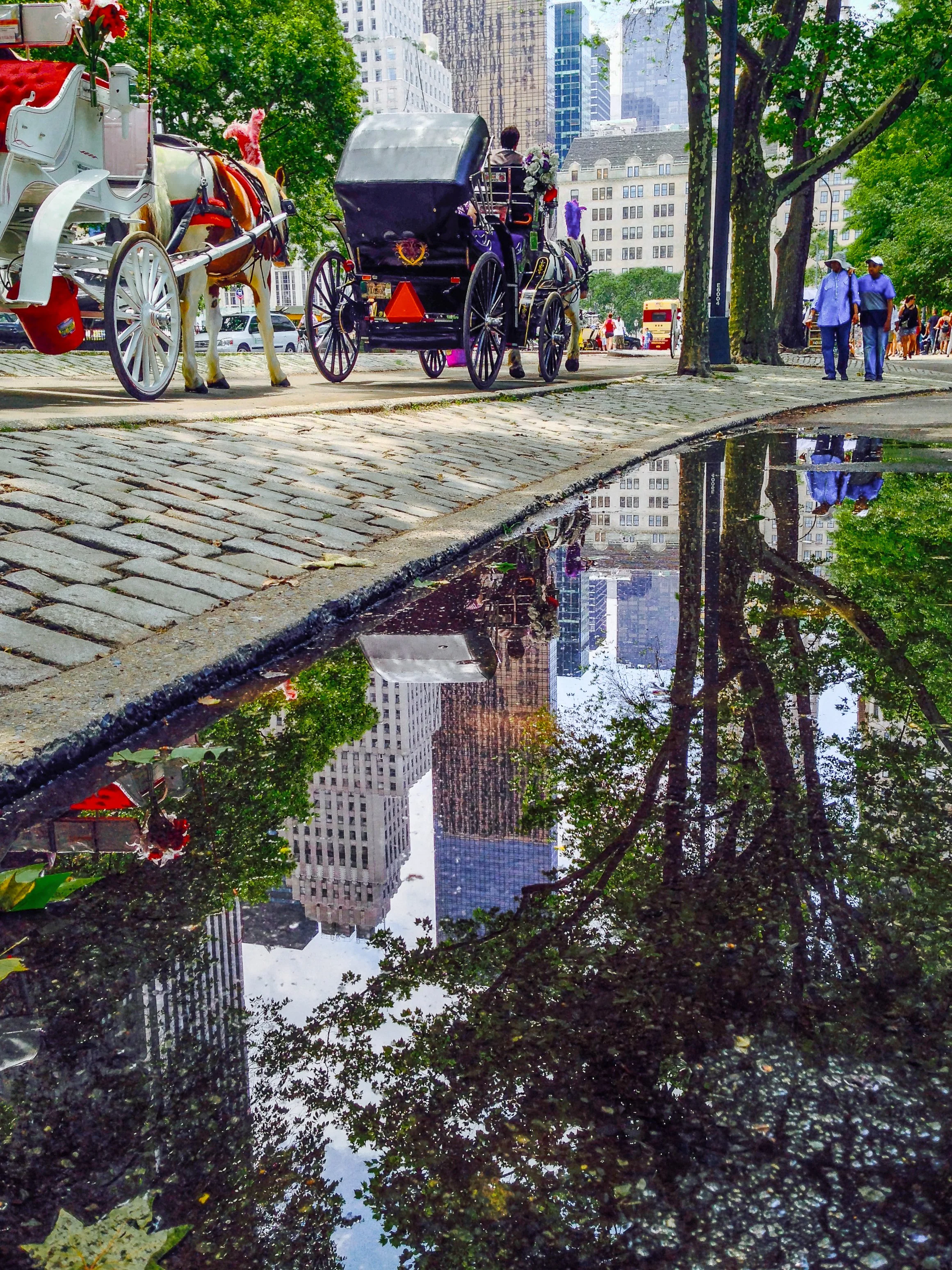 Horse Carriages 