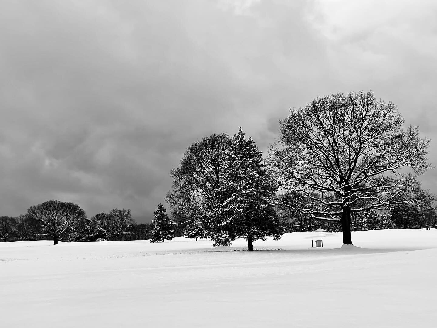 Saturday morning snow on a Long Island golf course. 

Photo: kellardmedia.com