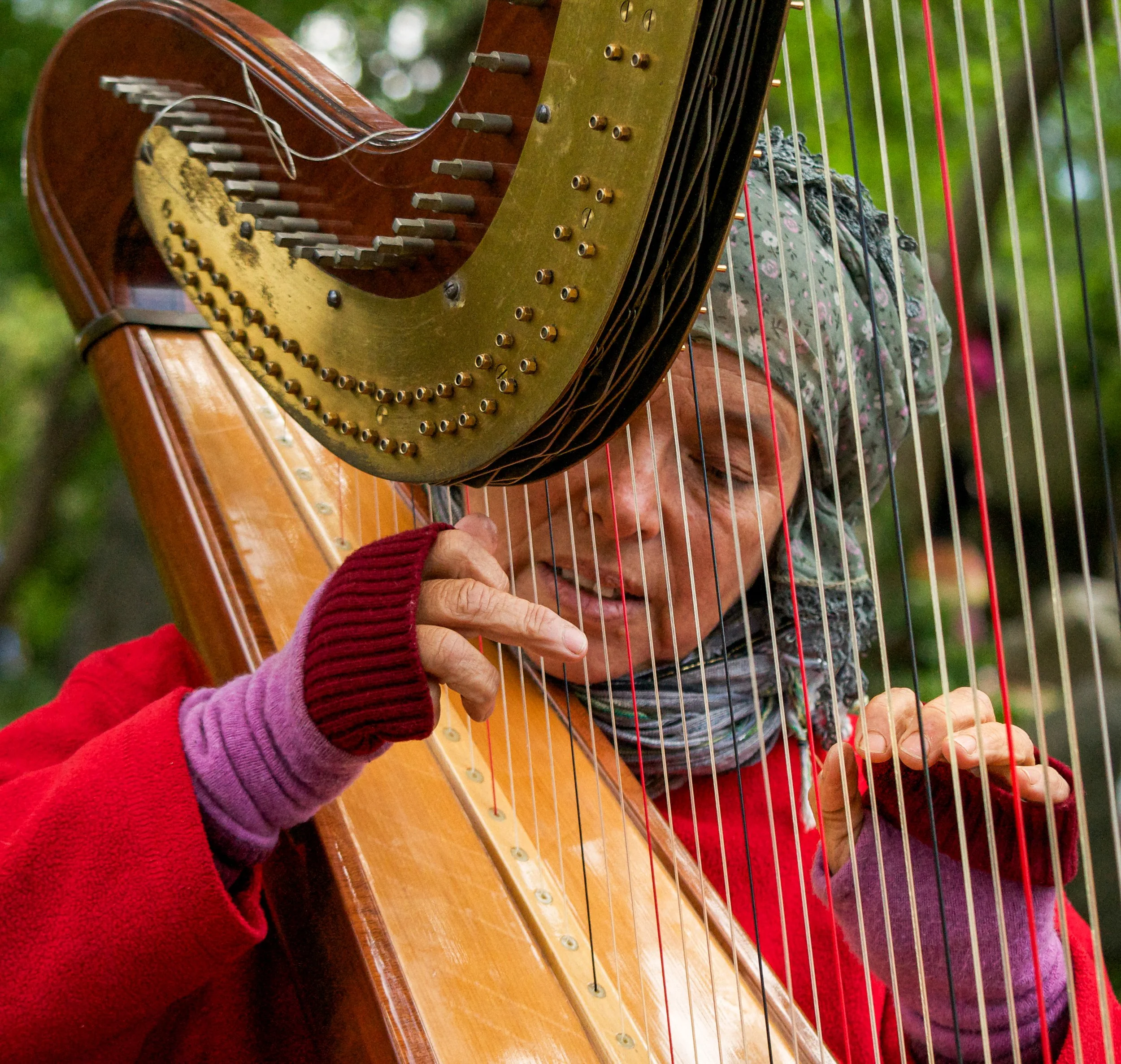  A Renaissance harpist performs in Central Park in Manhattan.&nbsp; 