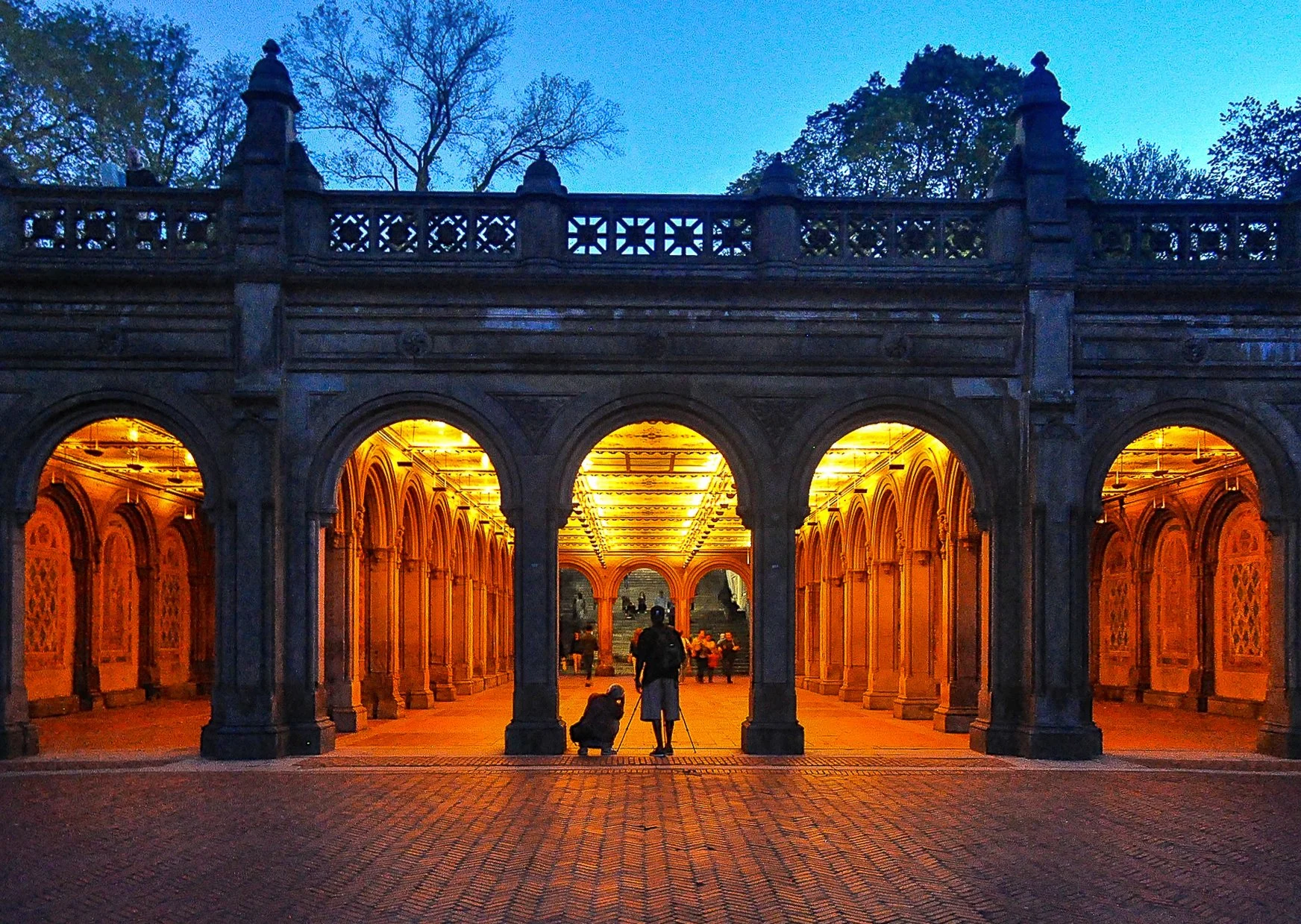 @ @ Bethesda Terrace & Arcade-night lights_Central Park_Photo Joseph Kellard_.jpg