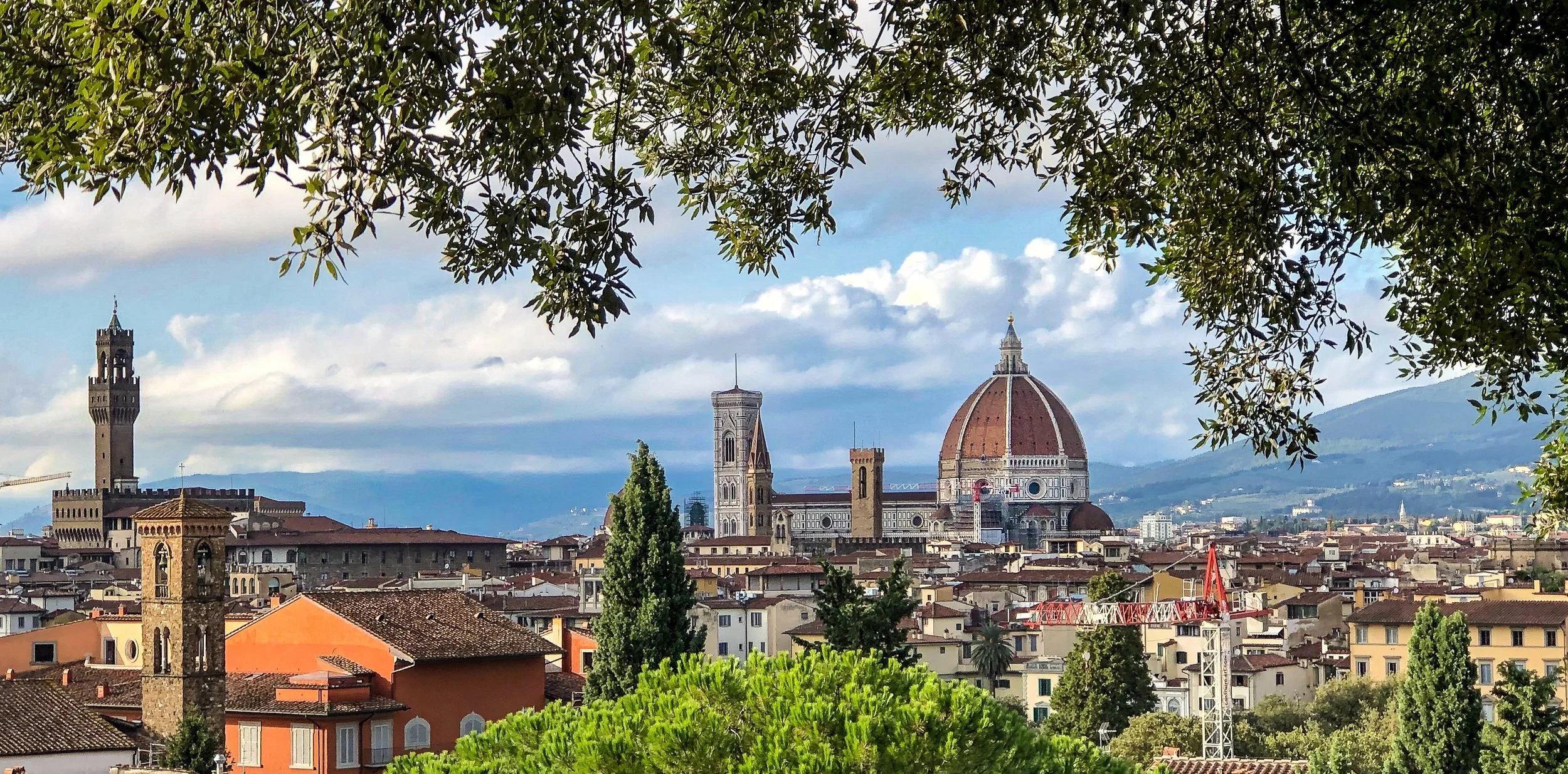 @ Florence skyline_Photo Joseph Kellard.jpg
