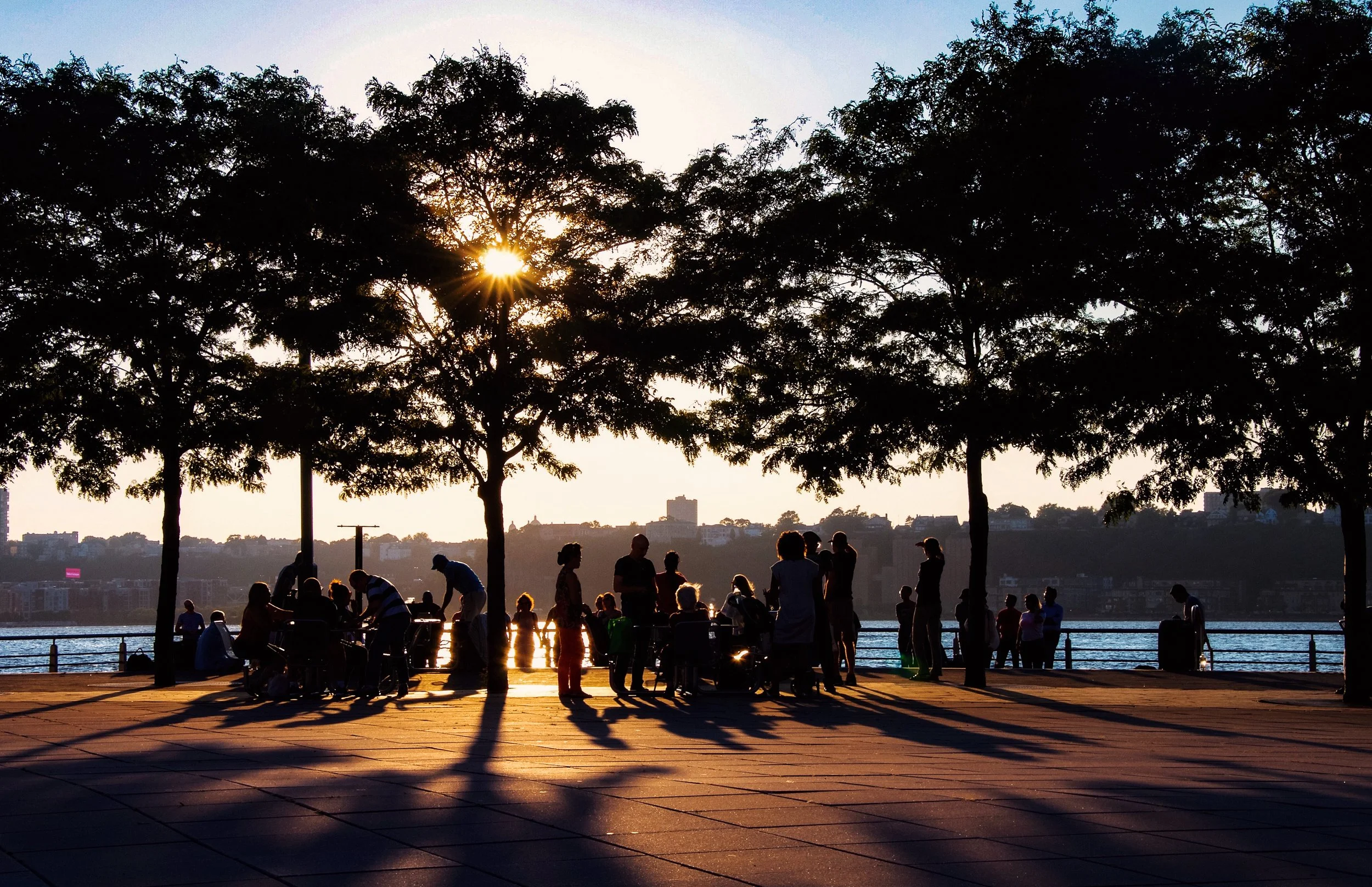 @ Pier 84_Manhattan_Hudson River_Photo Joseph Kellard.jpg