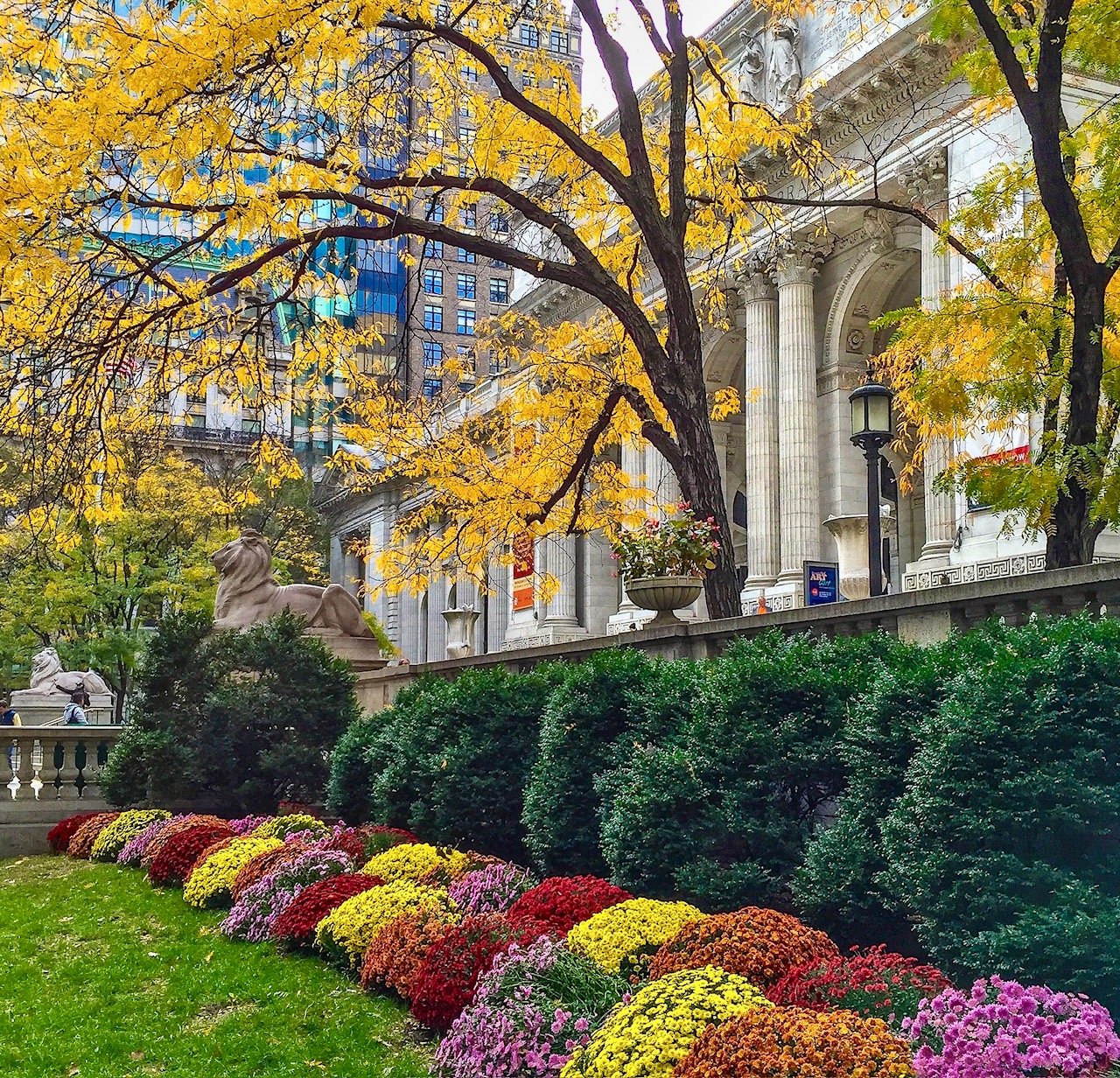 @ @ New York Public Library_.jpg